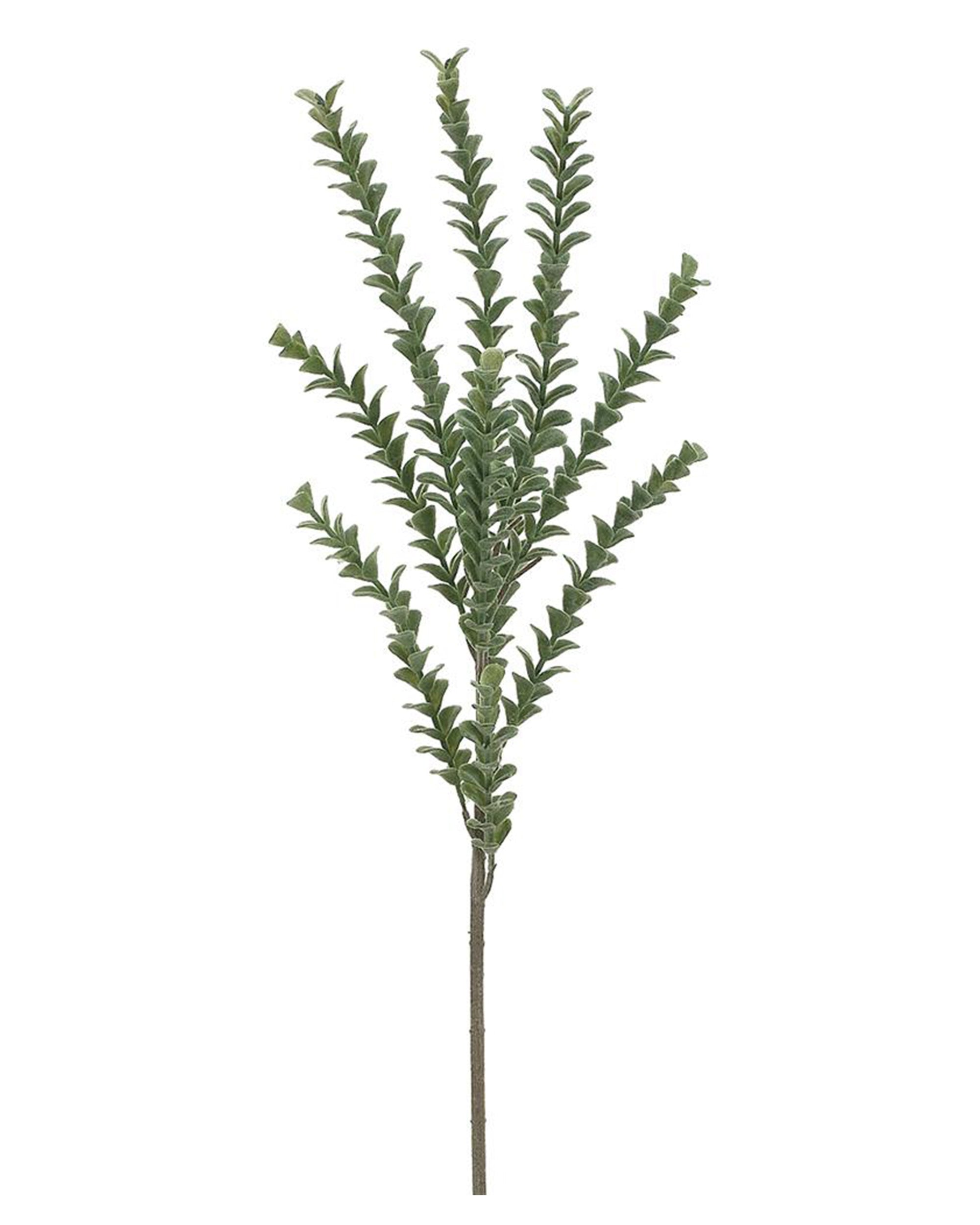 The AllState Floral And Craft Mini Jade Spray features multiple slender stems with small, closely packed frosted green leaves, displayed against a plain white background.
