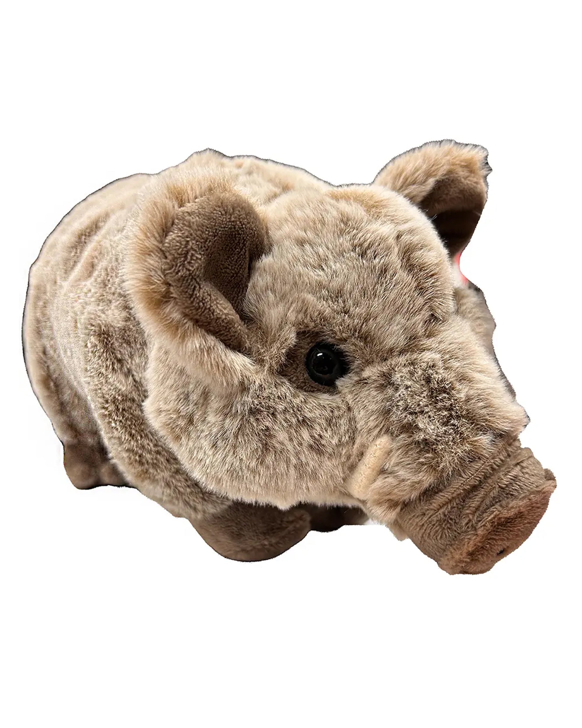 The Faire Javelina Stuffed Animal is a soft, plush toy resembling a collared peccary with light brown fur and black button eyes—perfect as a Texas wildlife gift. Shown on a white background.