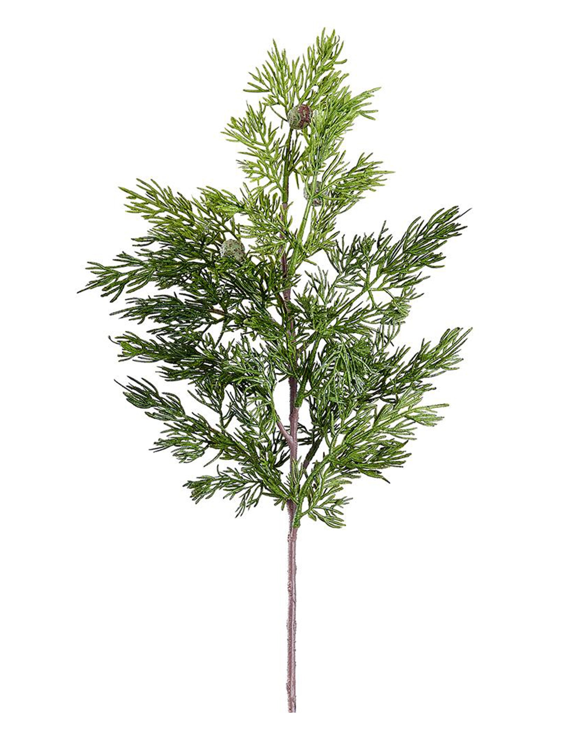 The AllState Floral And Craft Juniper Spray is an artificial greenery branch with delicate, flat, scale-like leaves, resembling a cypress tree—perfect for home decor and shown isolated on a white background.