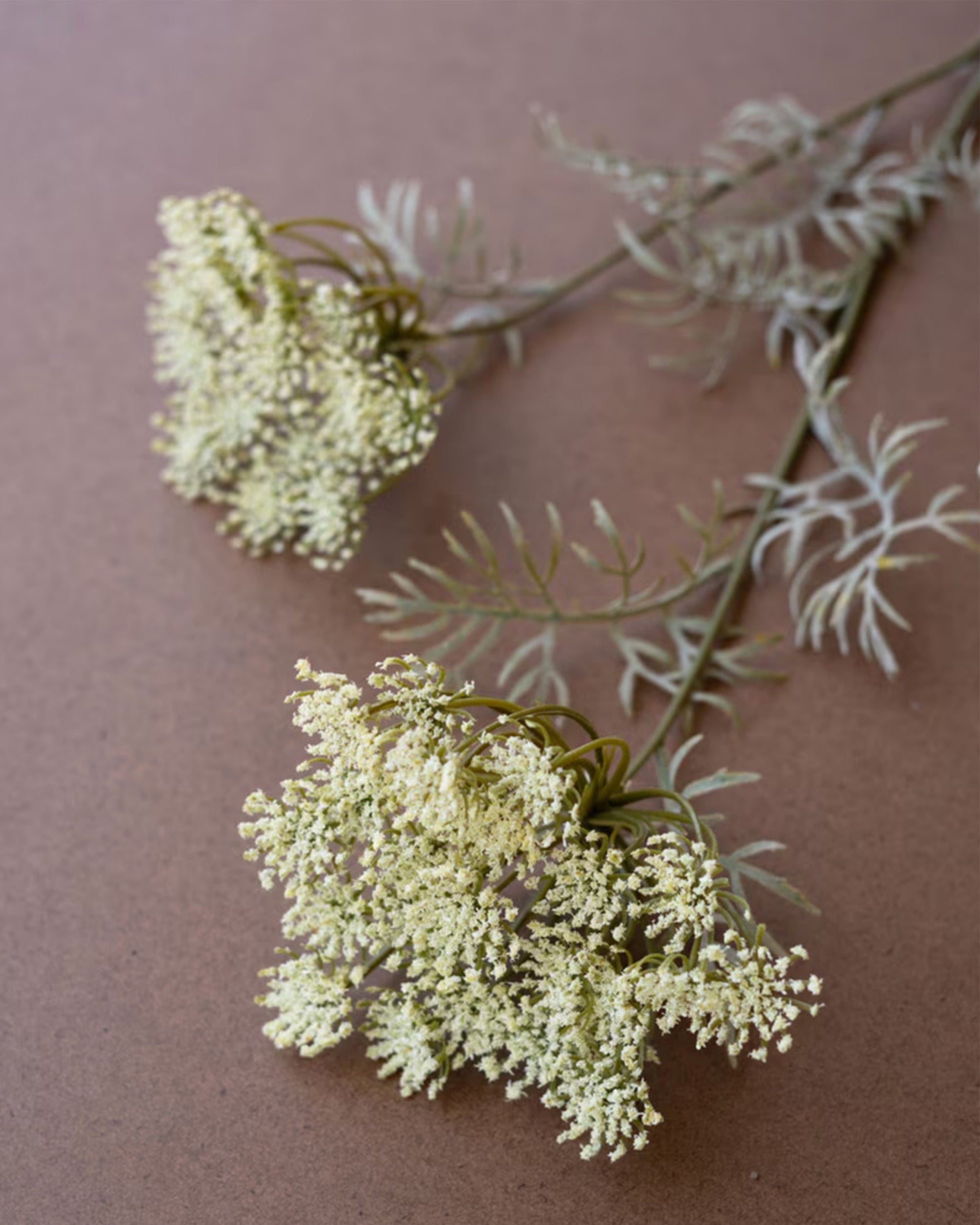 White lace flower spray stems with feathery green leaves, Kalalou floral decor on a brown tabletop.