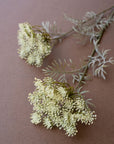 White lace flower spray stems with feathery green leaves, Kalalou floral decor on a brown tabletop.