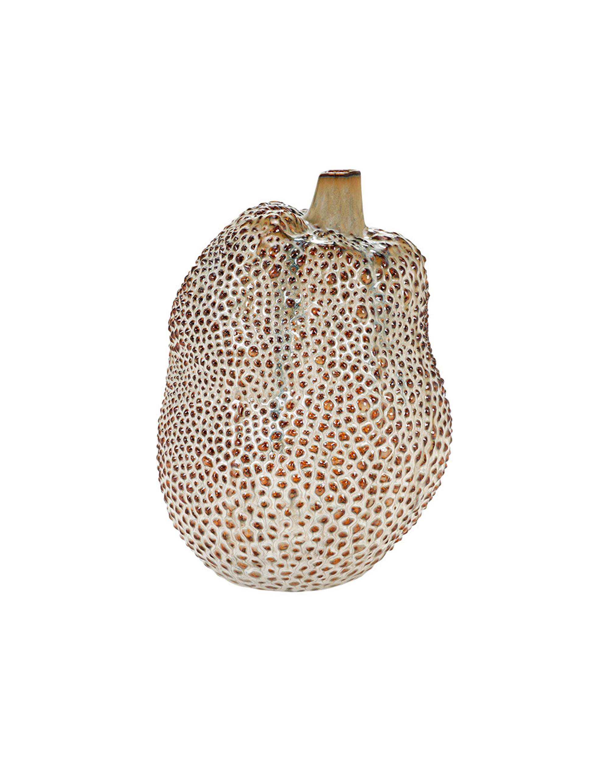 A single soursop fruit sits upright next to The Import Collection’s 20-676 Leston Small Vase, creating a unique rustic decor accent against a plain white background.