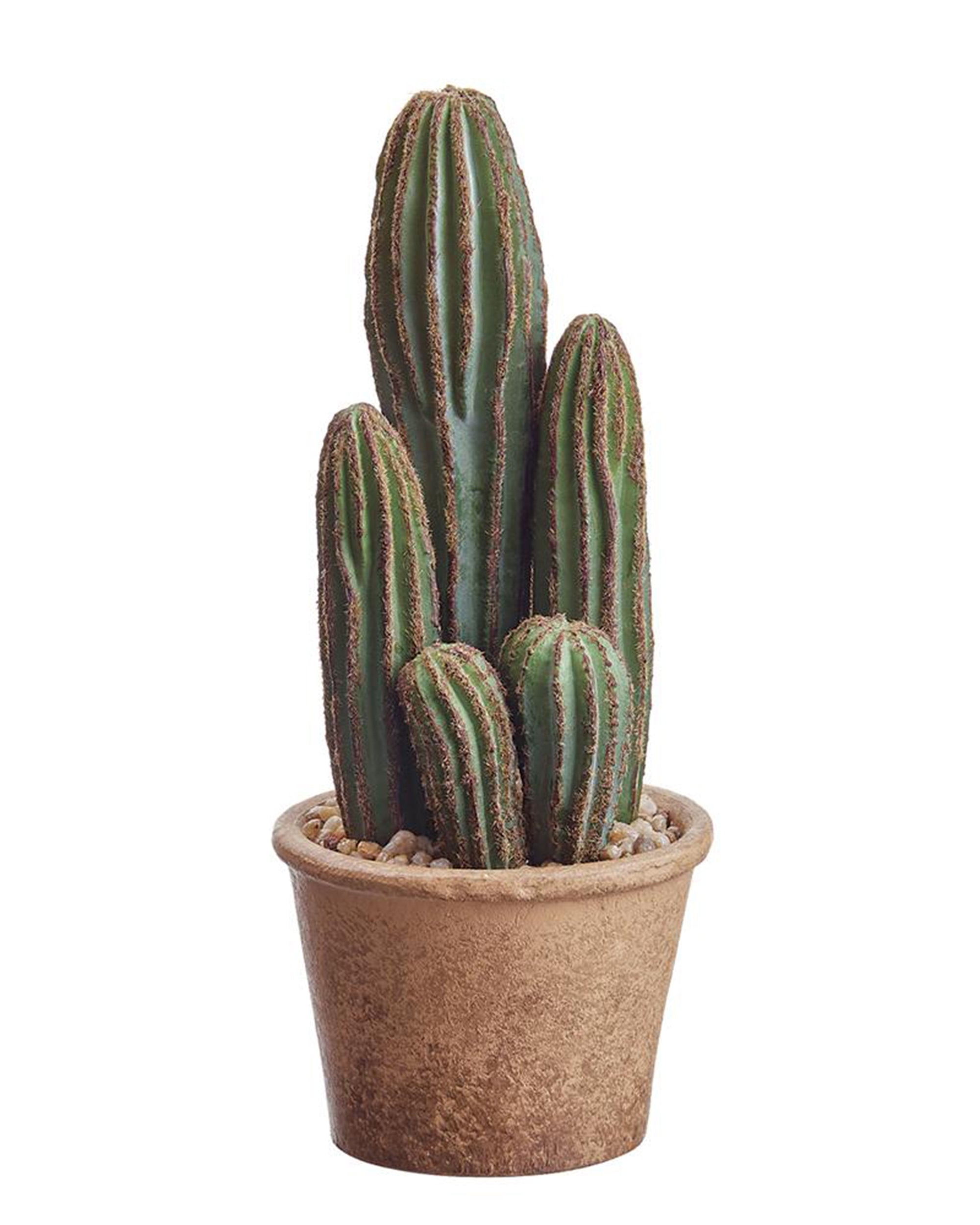 The AllState Floral And Craft Column Cactus 9.5" features tall, ridged green stems with brown edges in a light brown paper mache pot of pebbles, ideal as unique home decor for any space against a white background.