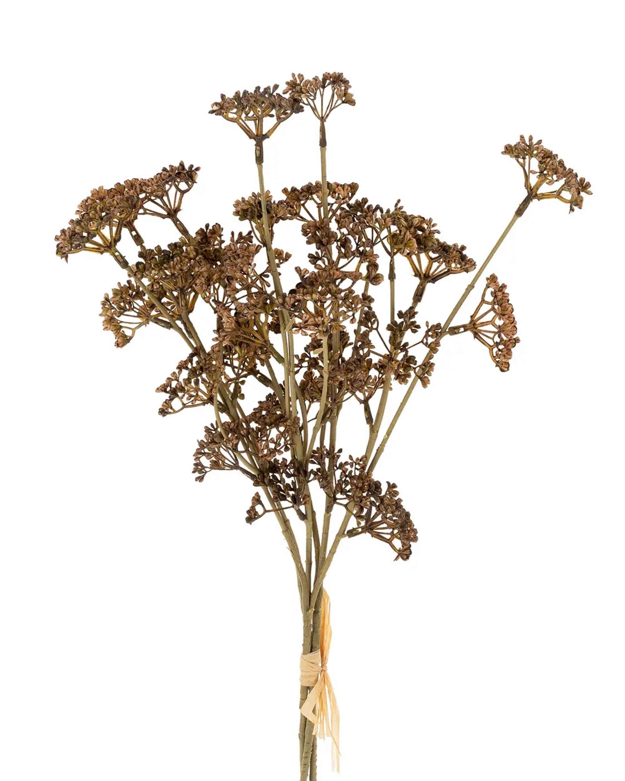 The Meadow Grass Bouquet by Indaba features earthy brown dried stems tied at the base, isolated on white—perfect as faux botanical decor.