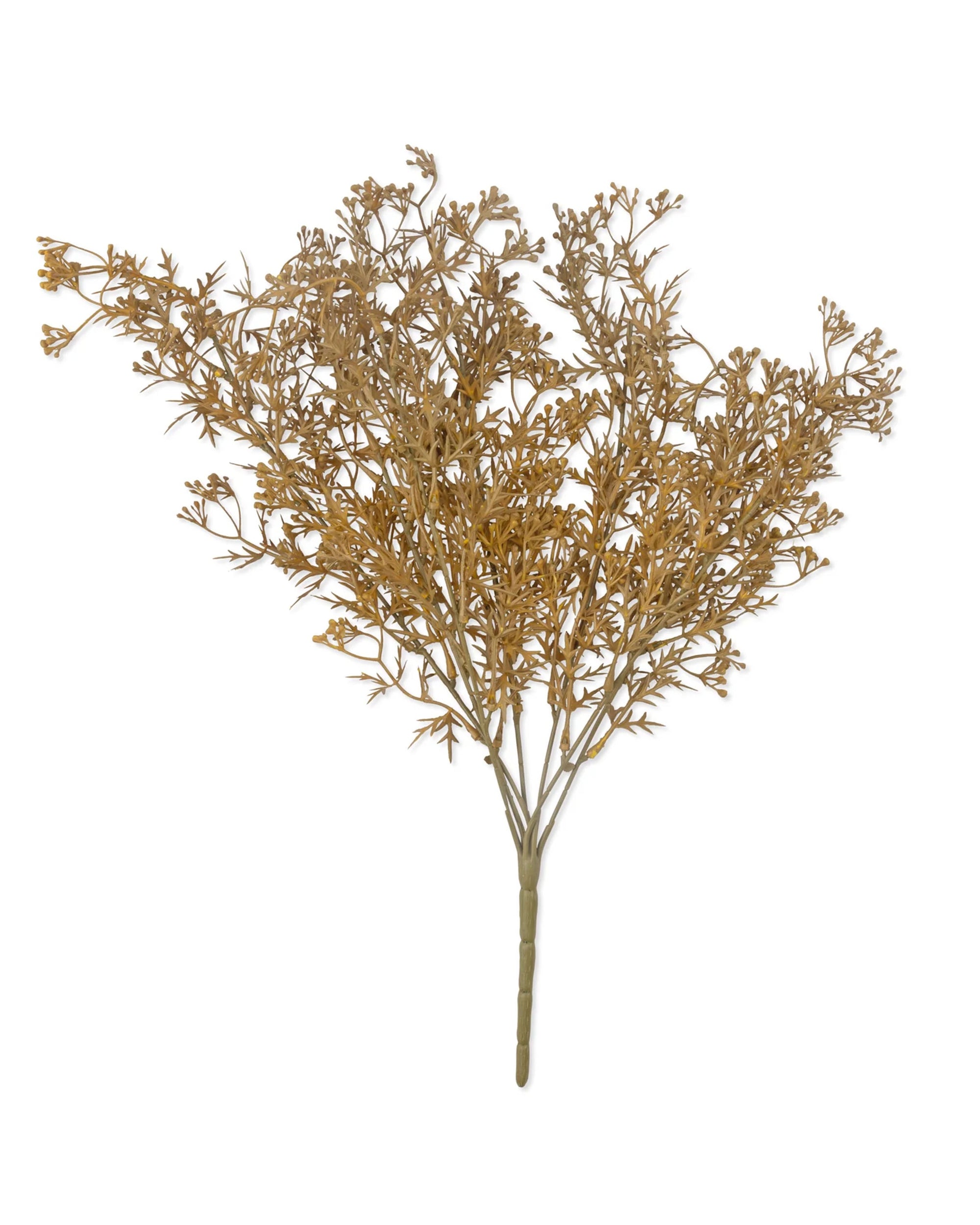 The Abigail Ahern Meadow Grass Flaxen features a single stem with golden-brown foliage and thin branches, perfect for bouquet decor or faux floral arrangements. Arranged in a fan shape and isolated on a white background.