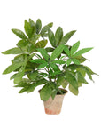 The Money Tree Terra Pot by Natural Decorations Inc. showcases realistic long, narrow leaves in a lifelike faux design and sits in a light brown weathered ceramic pot, adding vibrant decor to any space.