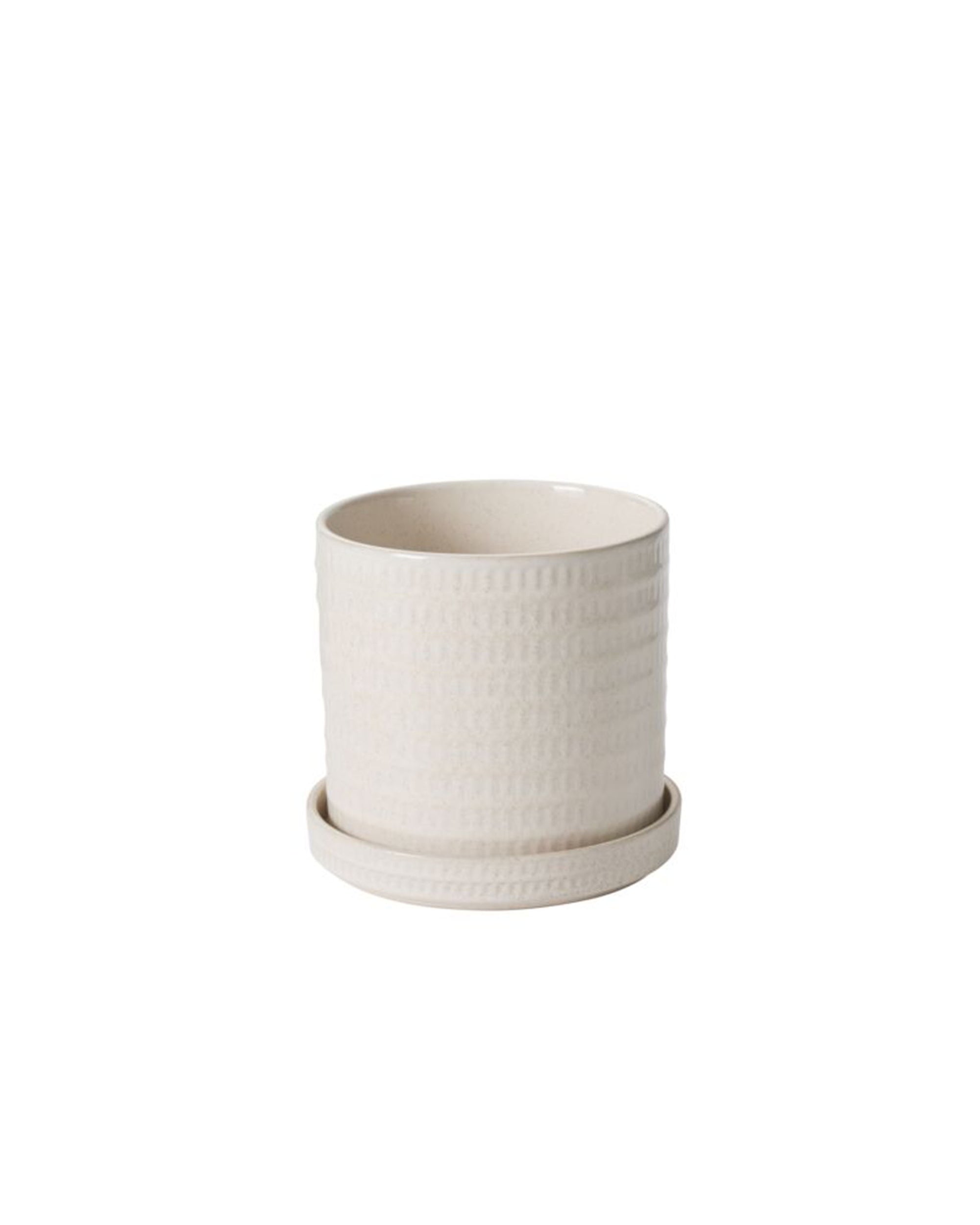 The Accent Decor Morse Pot/Saucer is a textured off-white ceramic planter with a matching round saucer, measuring 6 inches, shown against a plain white background.