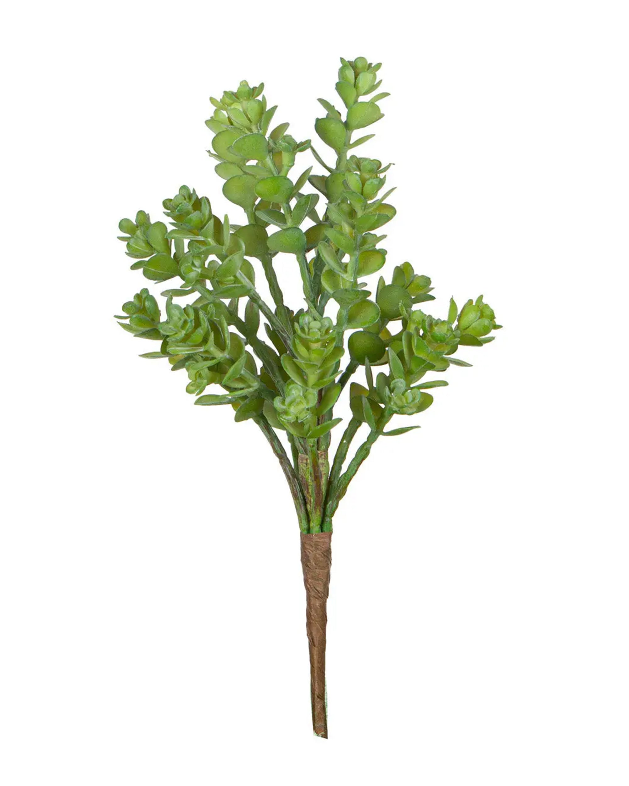 The Faire 9” UV Multi Head Succulent Stem features multiple faux succulent heads with thick, rounded leaves and a brown, textured stem wrap for a realistic touch.