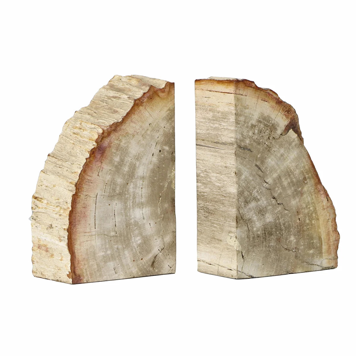 Indonesian petrified wood bookends with flat sides and visible tree rings by Blue Ocean Traders.