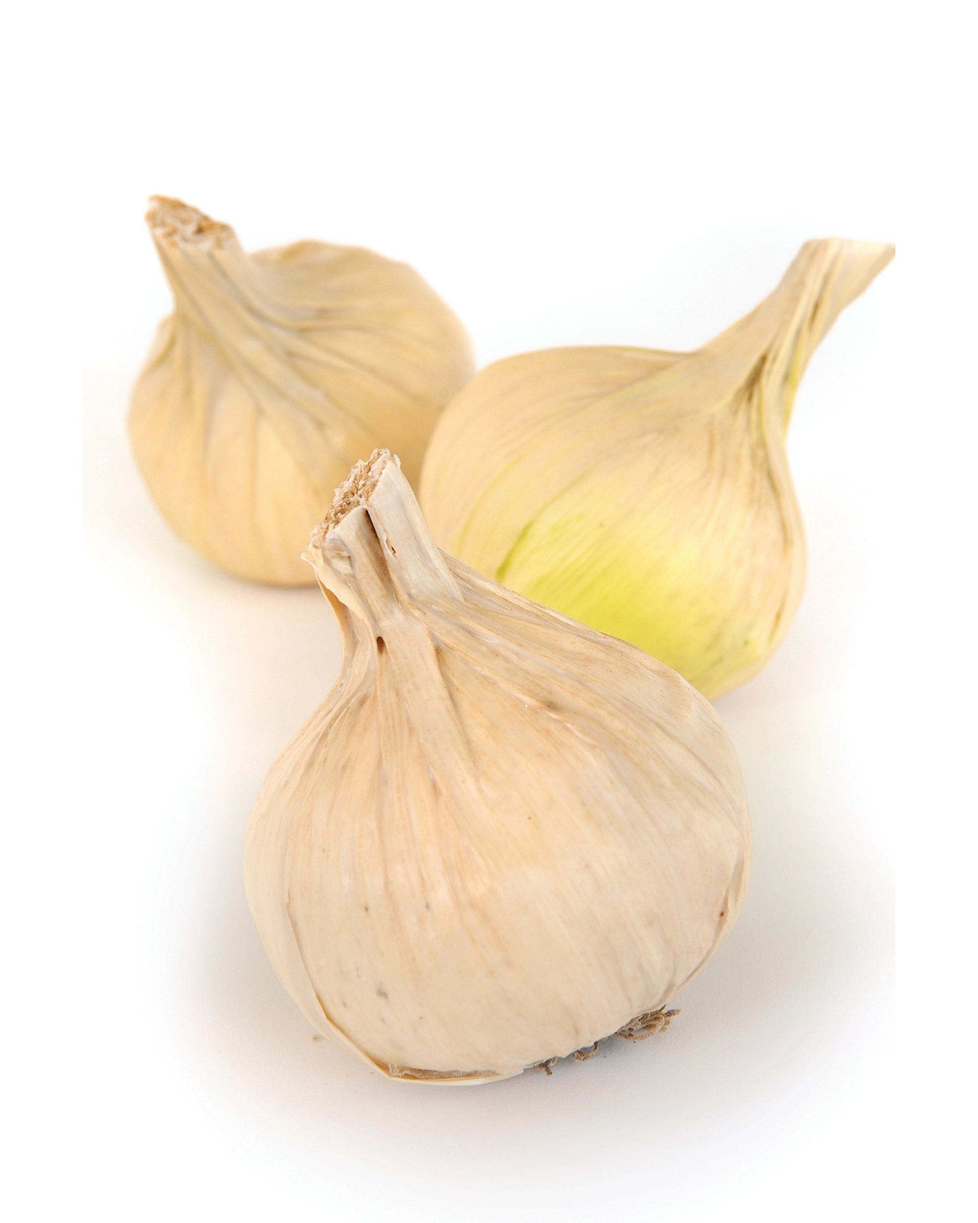 Three Faux Onion White by Studio Specialties (Faire) with papery white skins are arranged on a white background, making them perfect artificial onion accents for unique kitchen decor.