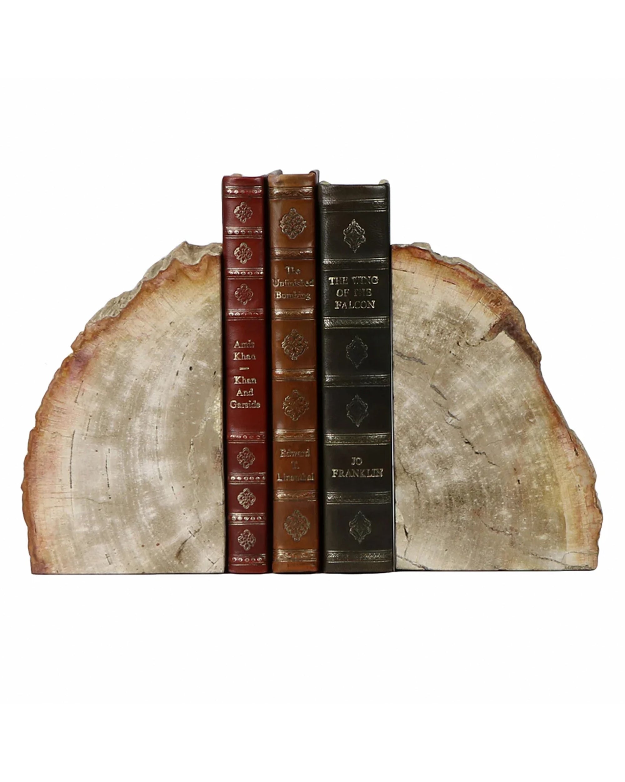 Petrified wood bookends by Blue Ocean Traders holding three vintage books on a wooden surface.