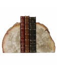 Petrified wood bookends by Blue Ocean Traders holding three vintage books on a wooden surface.