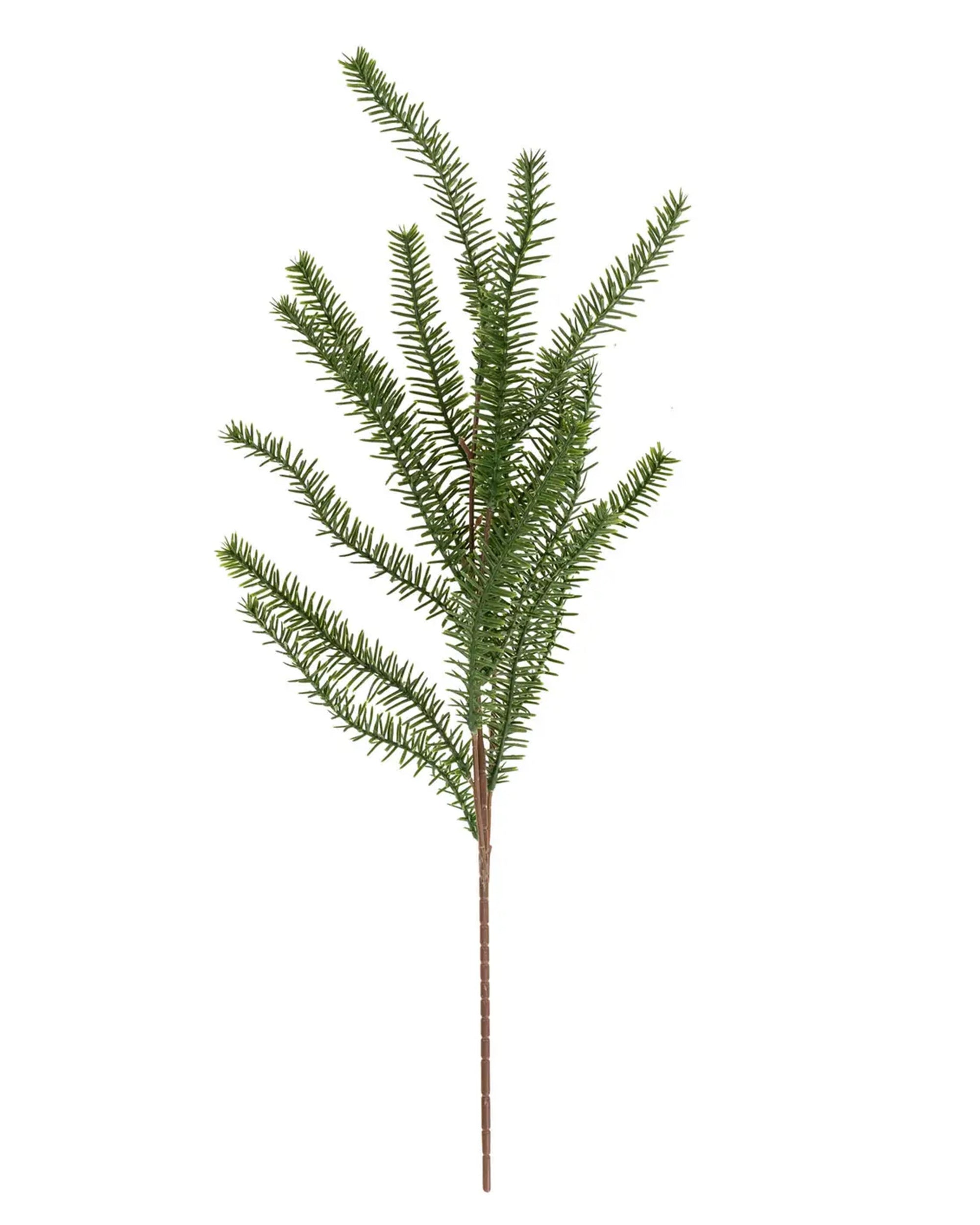 The Indaba Pine Sprig features multiple thin, needle-covered offshoots on a brown stem, ideal for holiday greenery or seasonal decor, and is isolated on a white background.