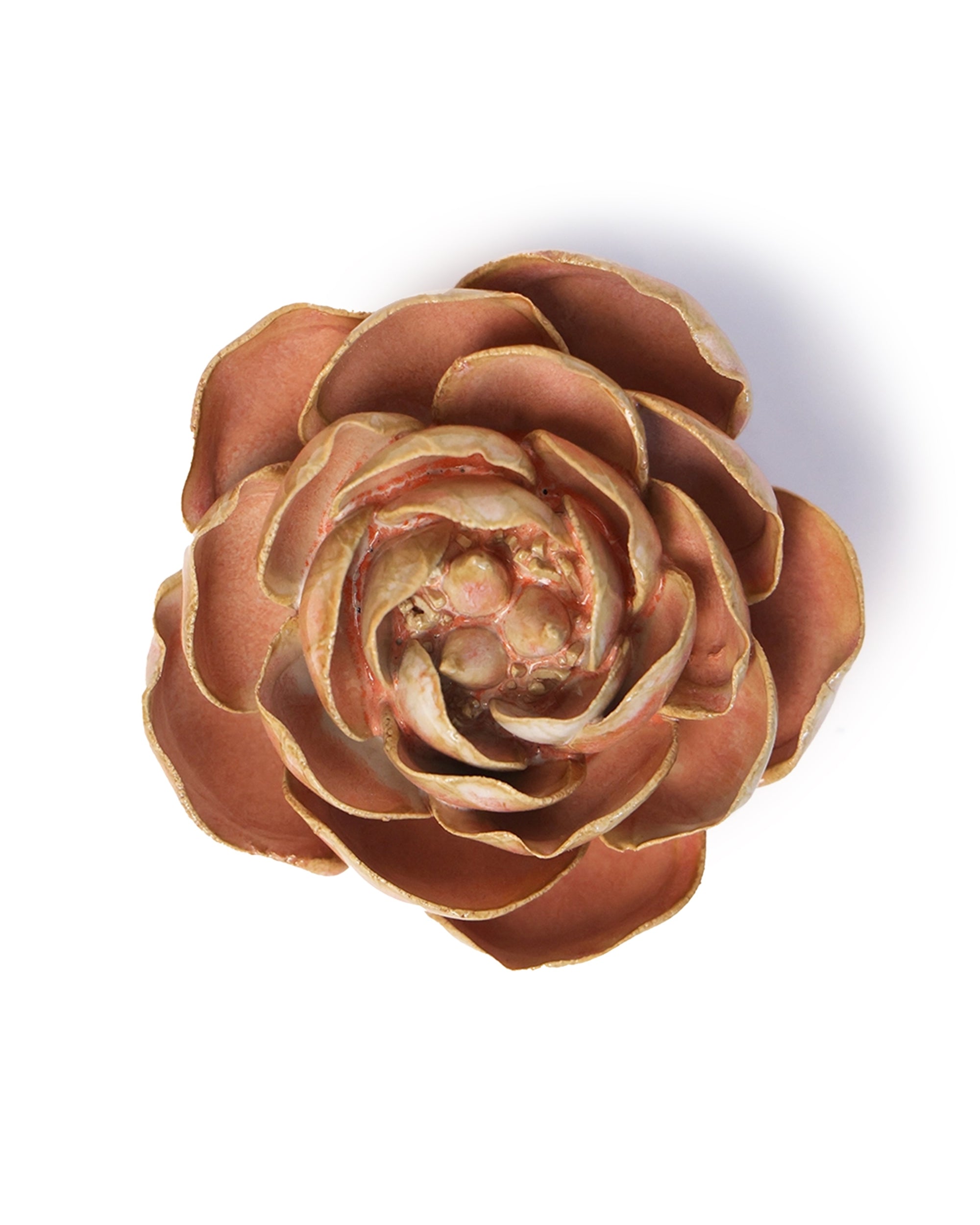 The Peach Pink Peony by Chive Ceramics (thru Faire) is a brownish-pink succulent with rounded, overlapping leaves in a rosette shape—ideal for wall decor or unique wedding centerpieces, shown against a white background.