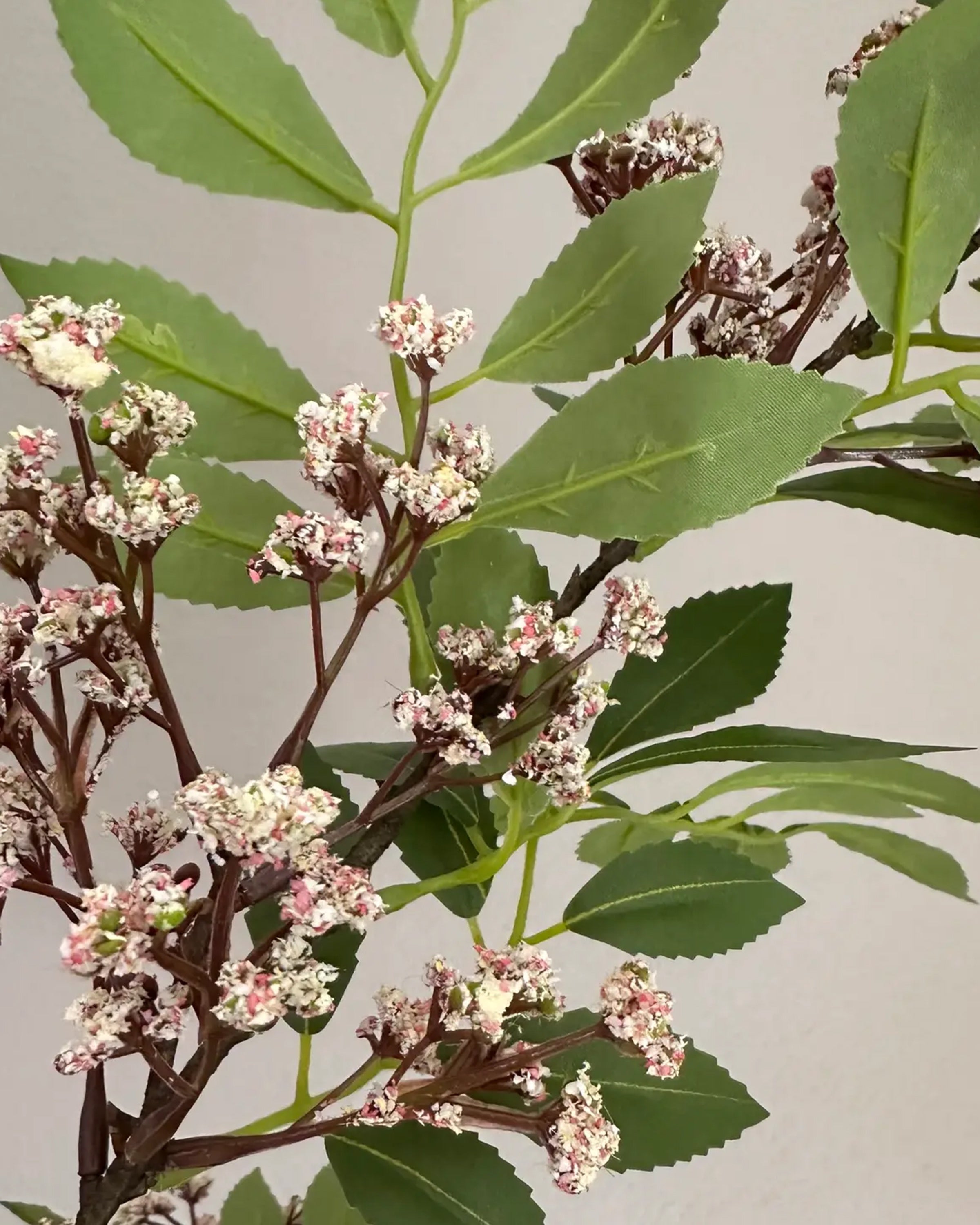 Pink Sumac Spray – Bungalow Scottsdale