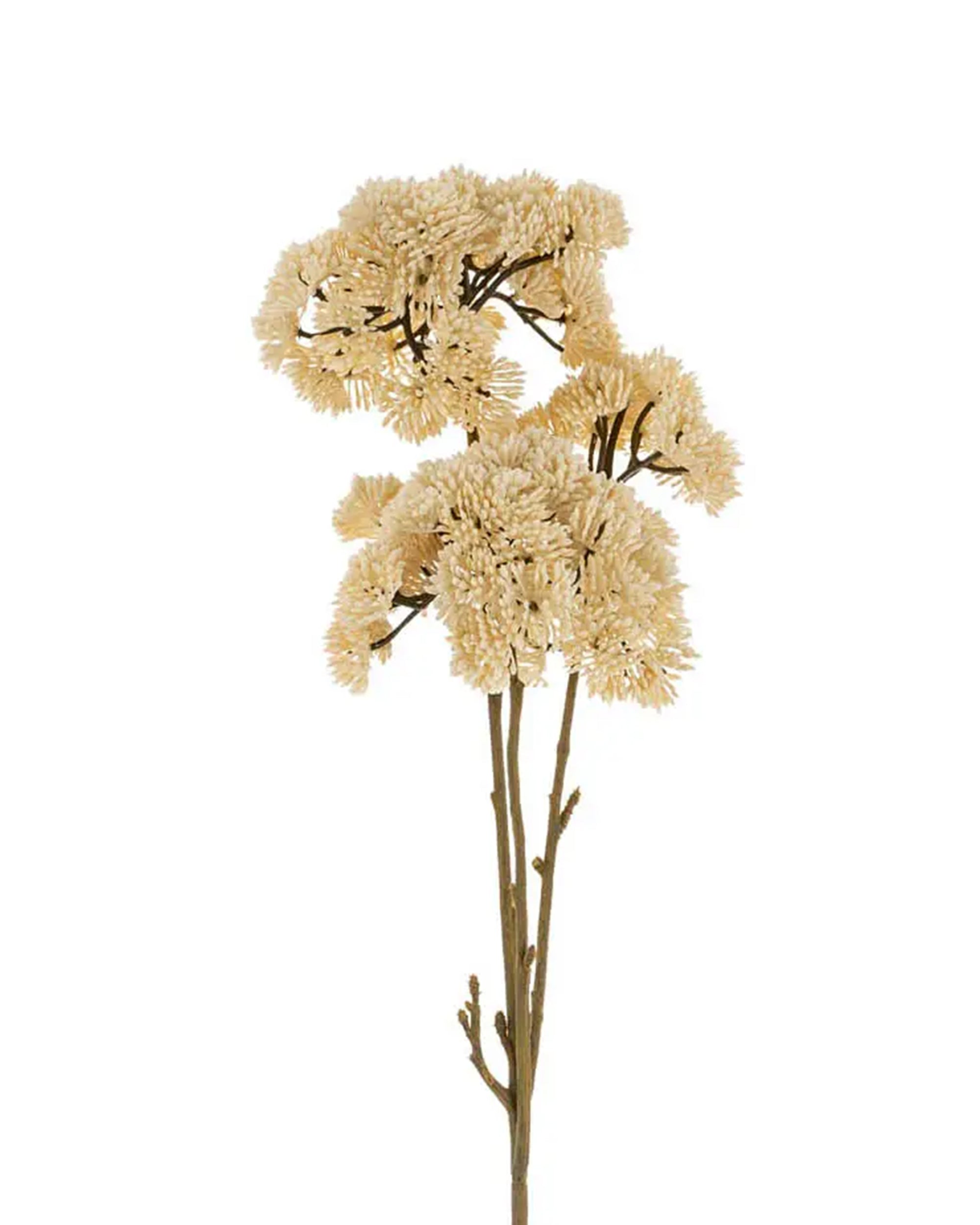 The Faire Pom Pom Floral Spray Cream features a single long stem with beige clustered, textured blooms and brownish-green stems—perfect for adding realistic artificial plant beauty to any space.