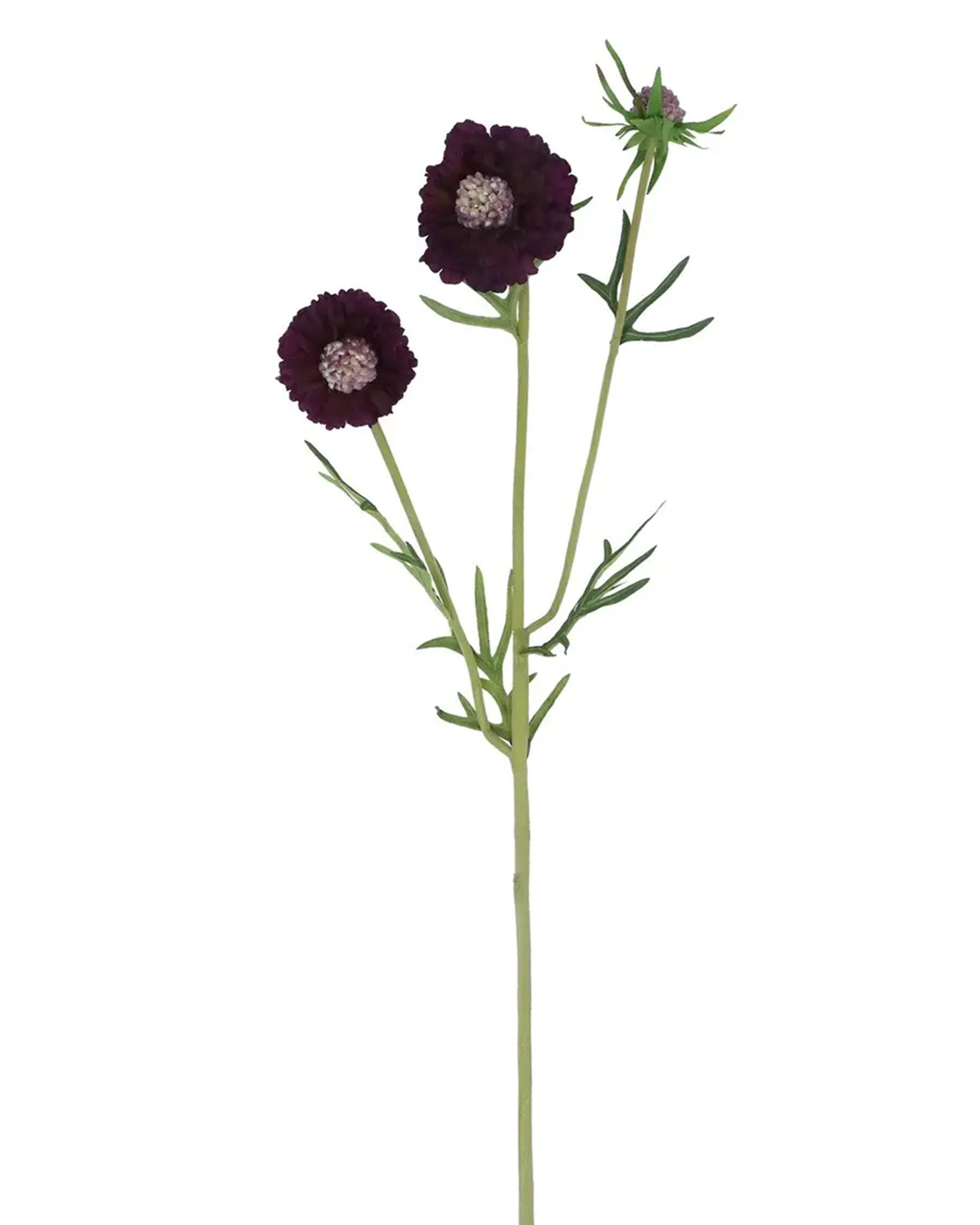 The Faire Dark Purple Scabiosa Spray features a green stem with two dark purple round flowers, one closed bud, and thin green leaves—an elegant artificial flower ideal for refined home decor.