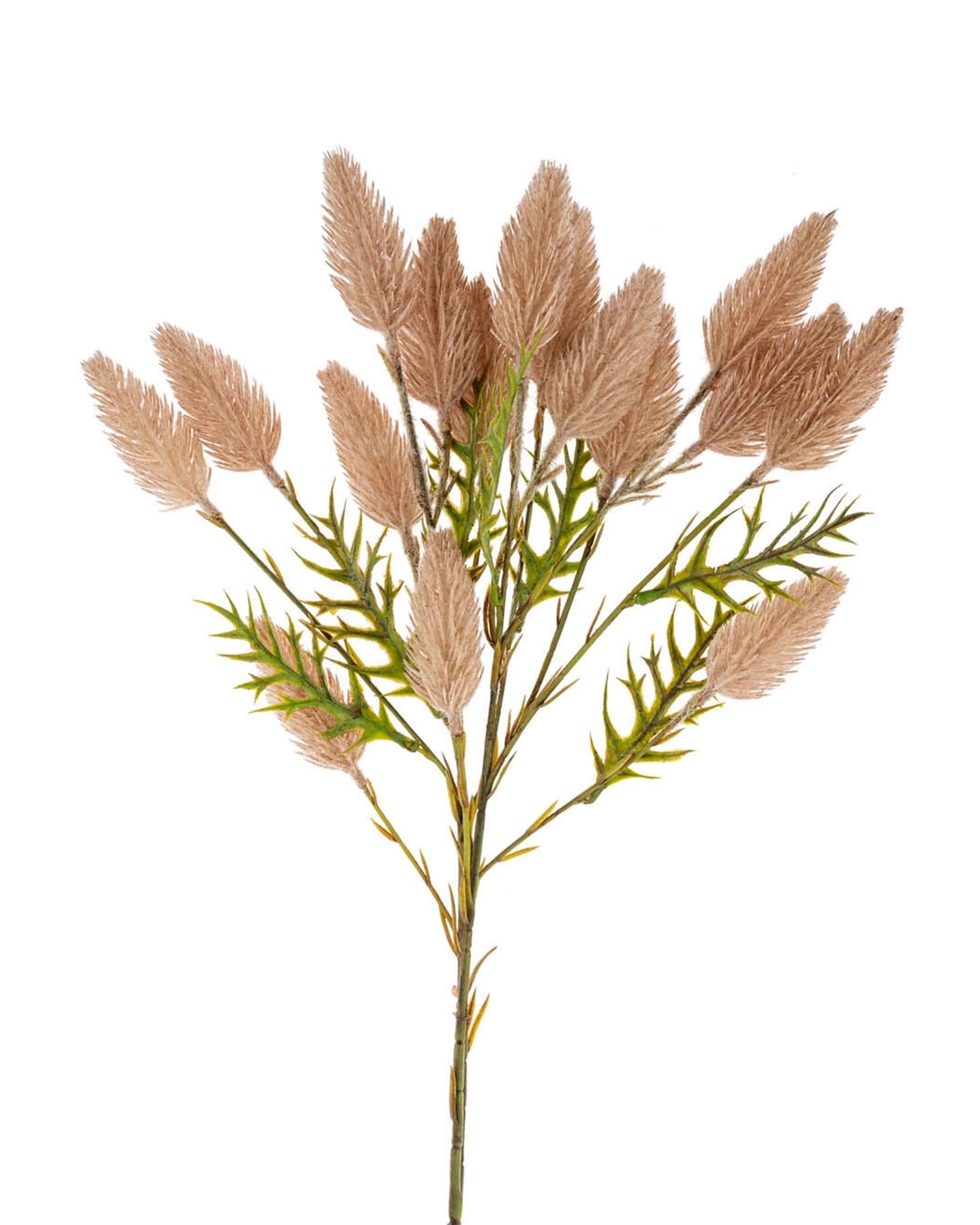 The Indaba Pussytail Grass Spray features multiple brown, feathery, oval-shaped flower heads with green, narrow leaves on a single stem. These realistic faux botanical stems are displayed against a white background.