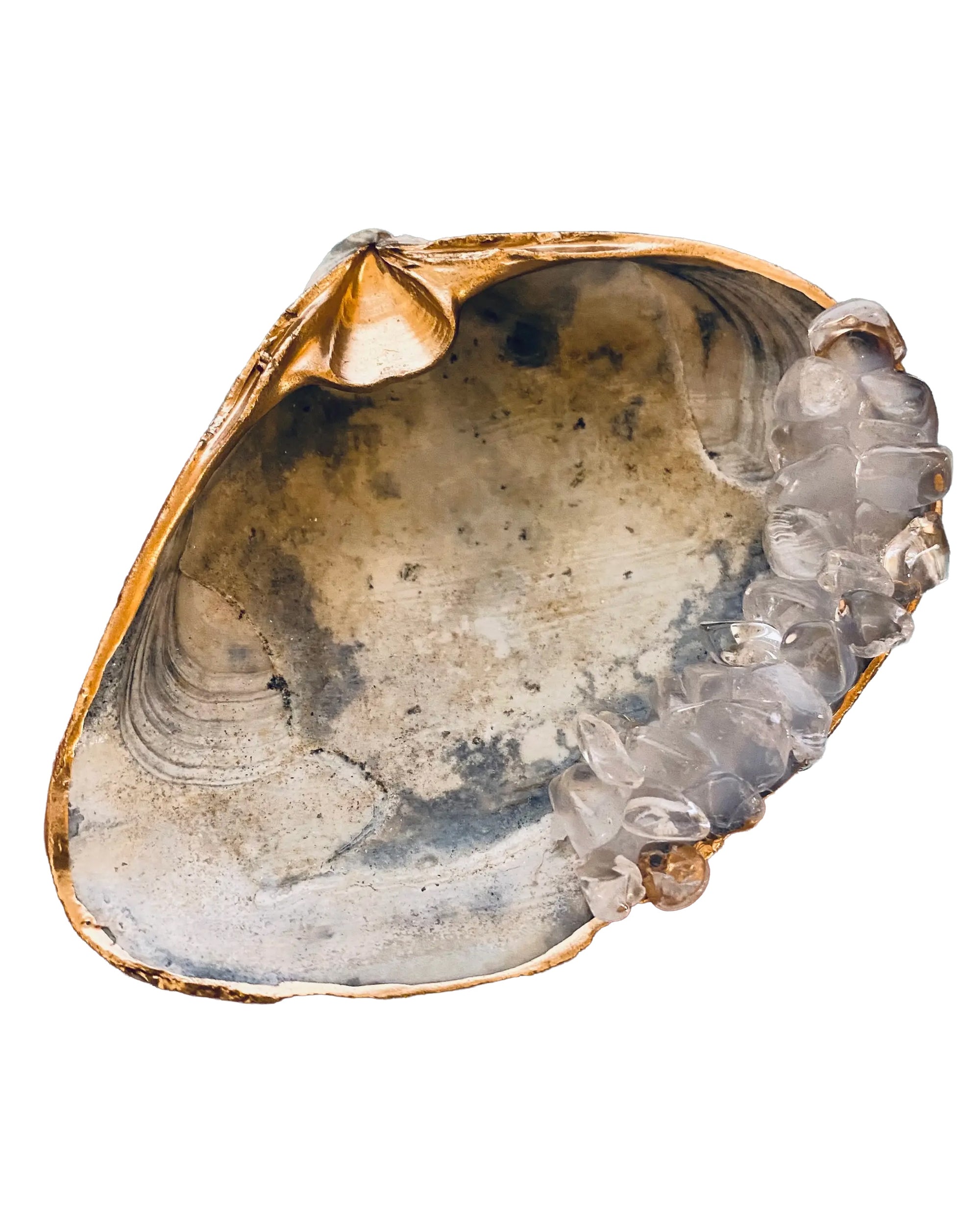 The Faire Quartz Shell features a handmade natural shell with a gold-lined edge and a cluster of Clear Quartz crystals on one side, shown up close against a white background.