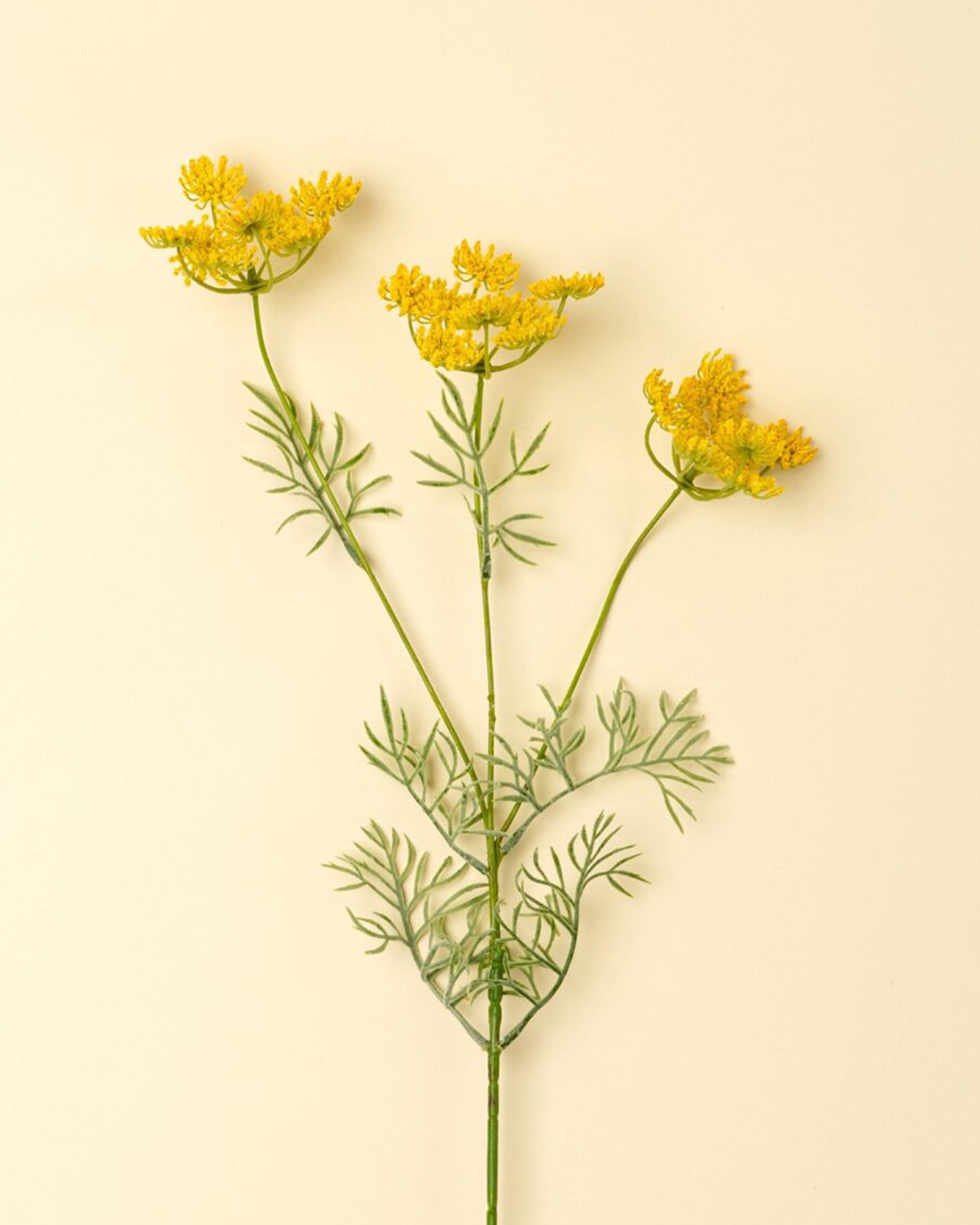 Indaba’s Queen Anne Lace Spray Yellow features a single green stem with feathery leaves and three clusters of small, bright yellow faux flowers—perfect as a charming accent against a pale cream background.