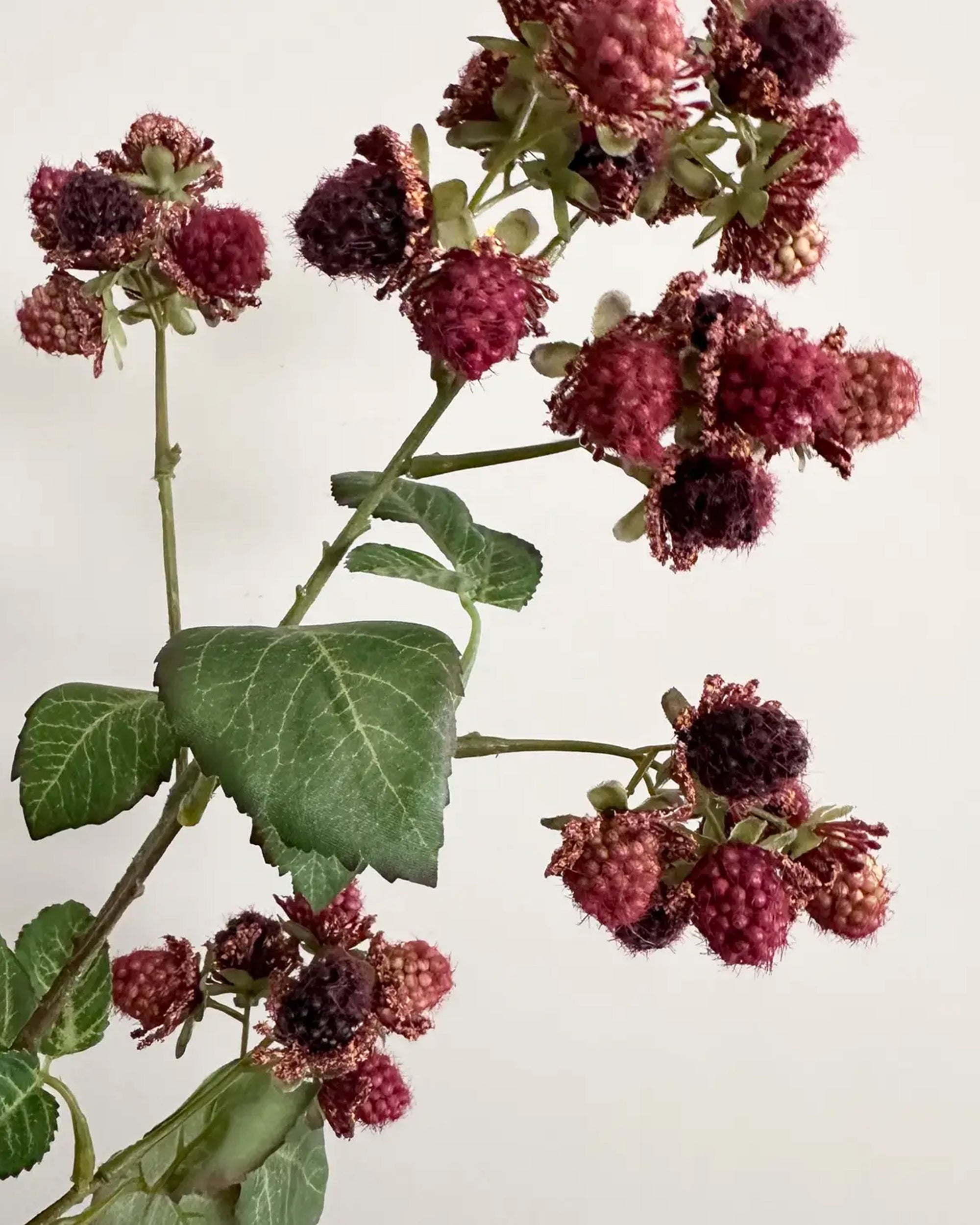 A close-up of Faire's Faux Raspberry Stem showcases lifelike, textured berries with darker tips and green leaves. Clusters of reddish-purple fruit stand out against a light background—an ideal accent for home décor.