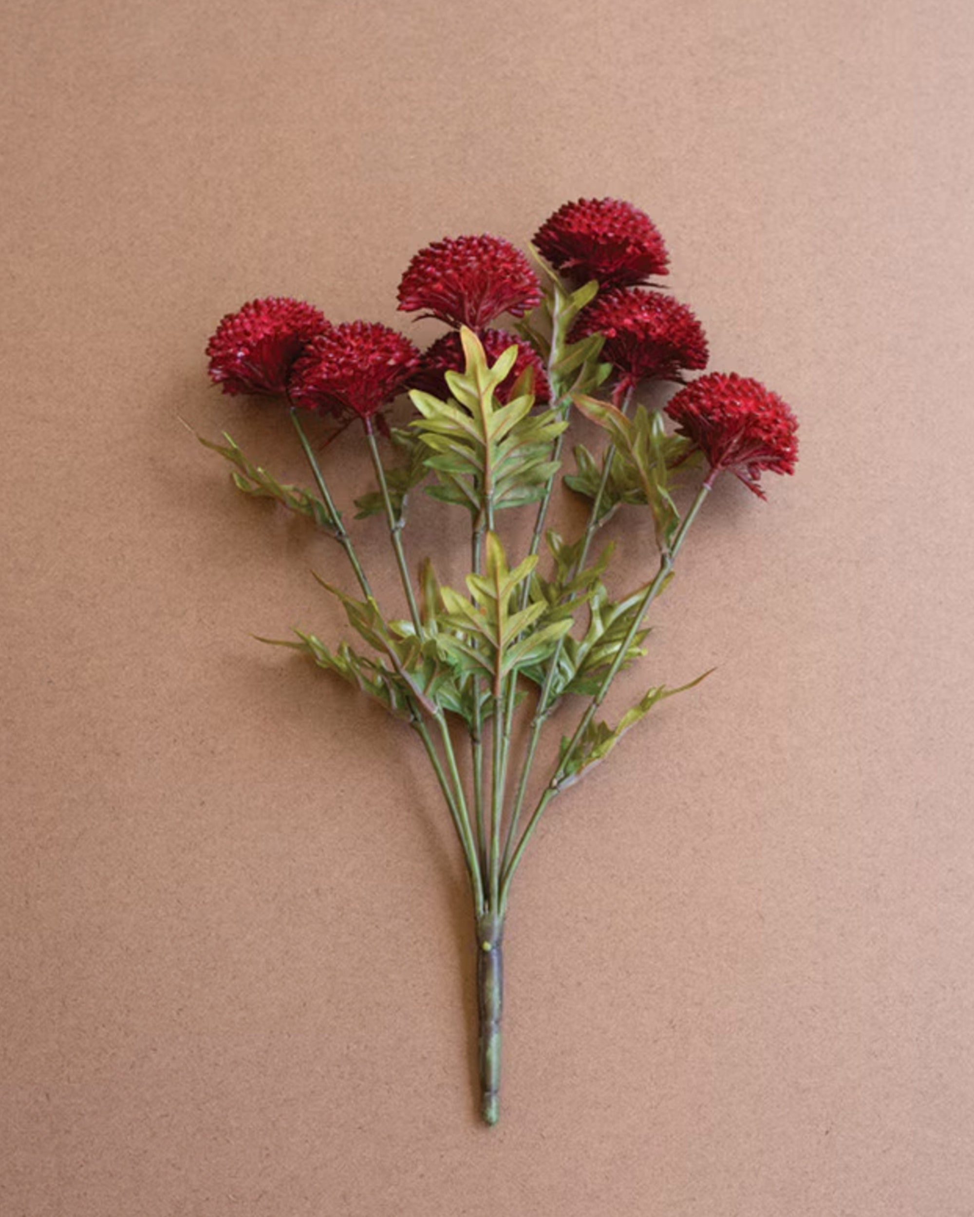 Red dahlias with green leaves on 18-inch stems by Kalalou, set against a plain brown background.
