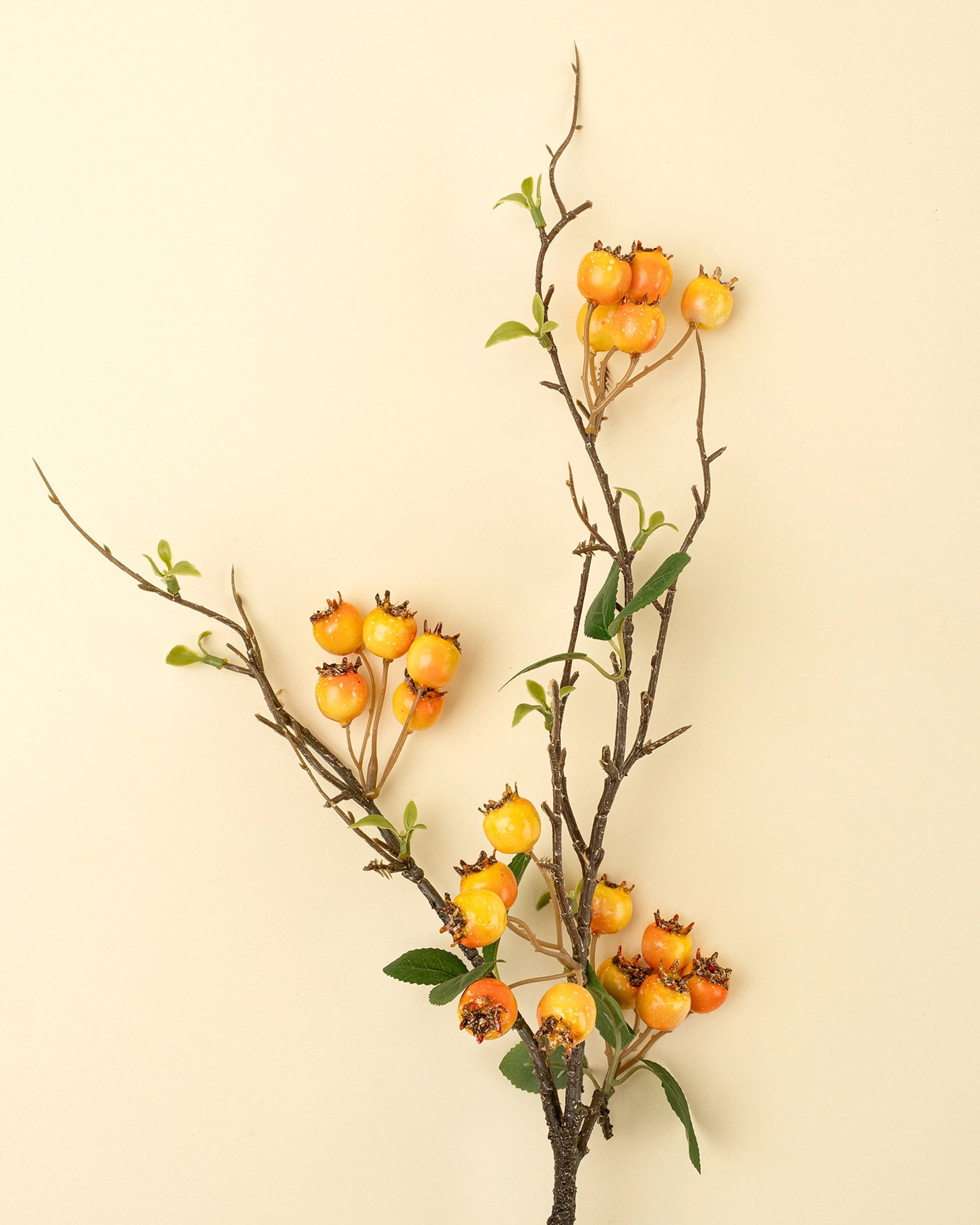 Rosehip branch with orange berries and green leaves, Bungalow Furniture &amp; Accessories, accent decor on beige background.