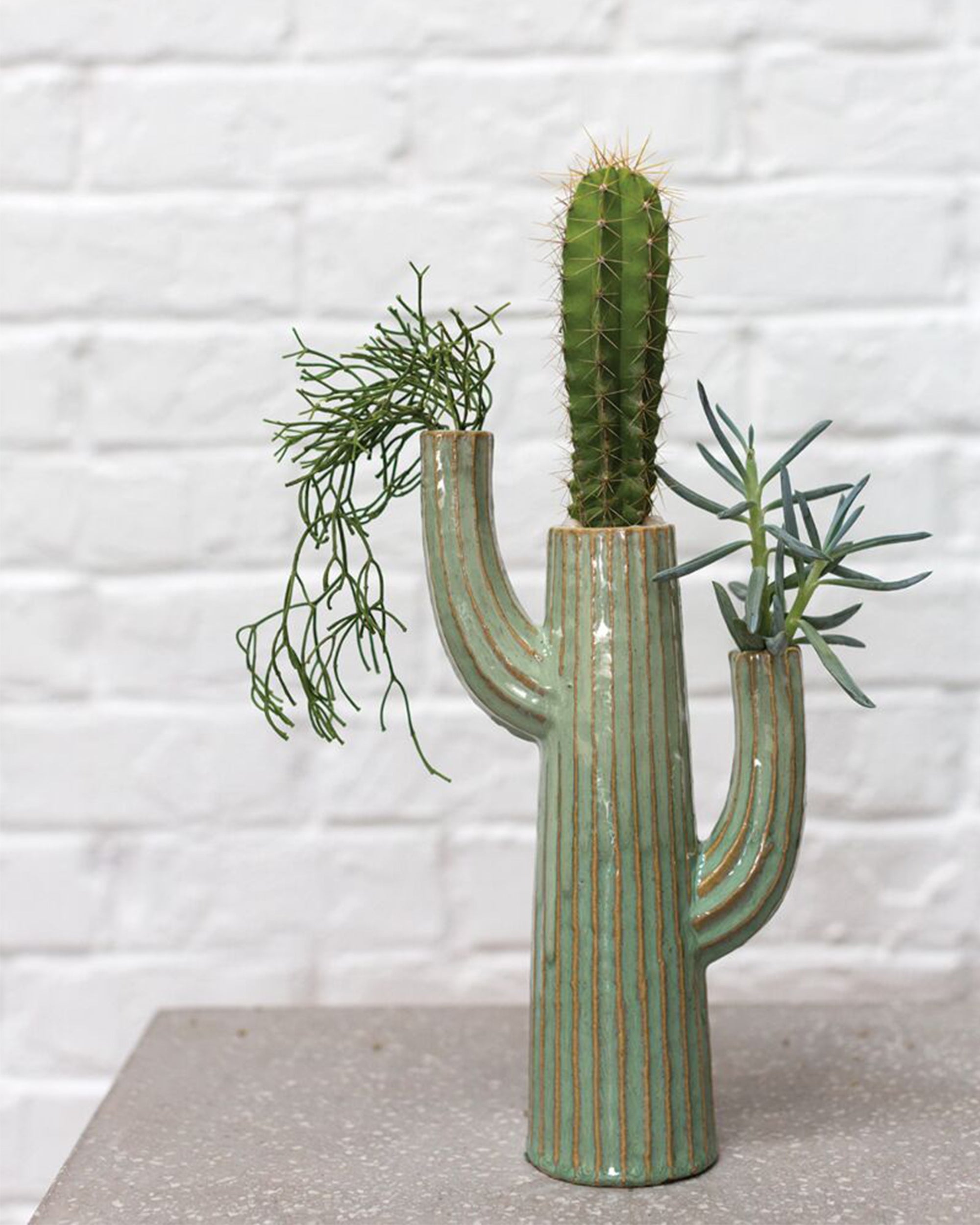 The Accent Decor Saguaro Vase with a green striped reactive glaze displays three types of succulents, arranged on a gray surface with a white brick wall backdrop.