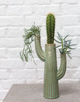 The Accent Decor Saguaro Vase with a green striped reactive glaze displays three types of succulents, arranged on a gray surface with a white brick wall backdrop.