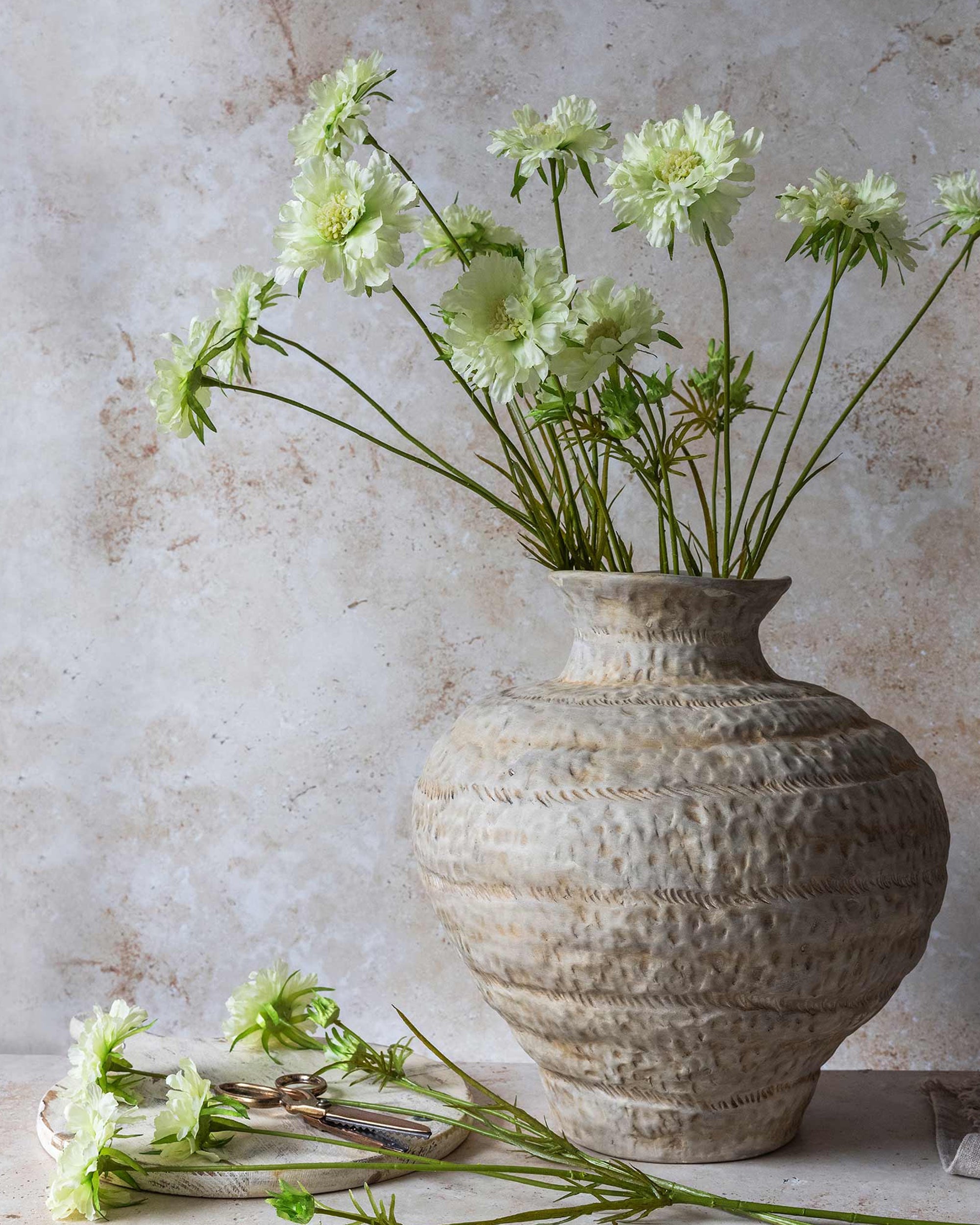 A textured beige ceramic vase holds Abigail Ahern's Scabious Flower, Cream—long-stemmed blooms with green centers. A single stem and a few cut flowers, plus scissors, rest on the table against a light stone background.