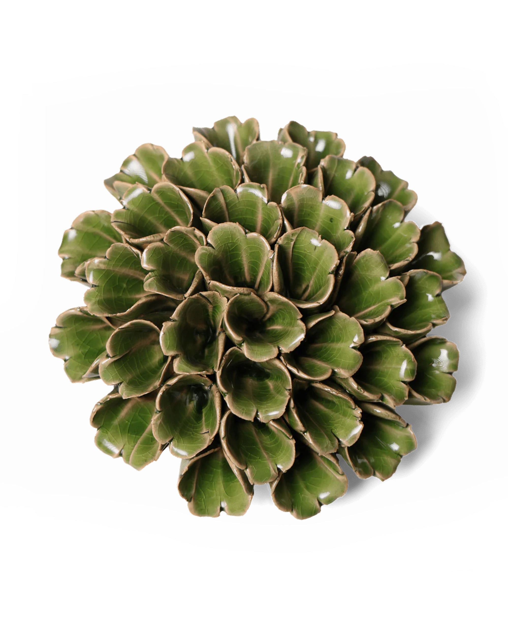 A top-down view of Sea Polyp Large Green by Chive Ceramics (thru Faire) features thick, white-edged green leaves in a symmetrical rosette—perfect for boho plant wall decor or as a ceramic flowers wall accent.