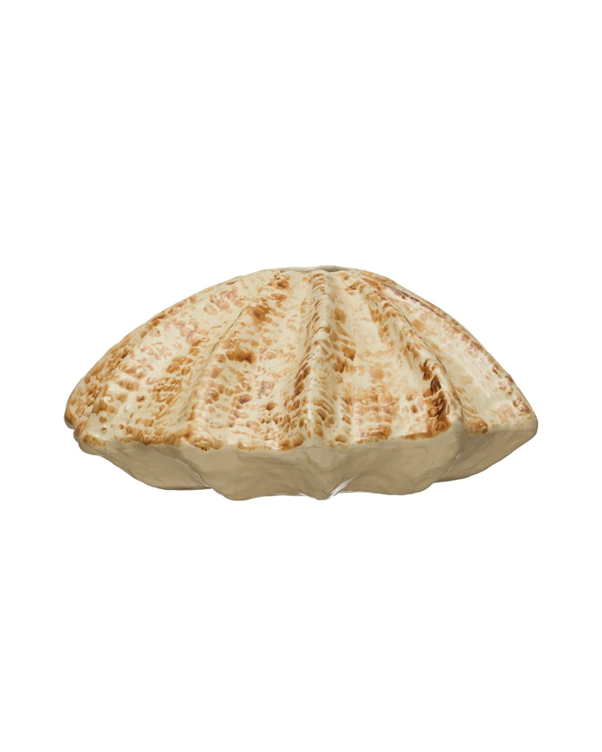The Creative Co-op AH2858 Stoneware Shell Shaped Vase features a large beige and brown ridged clam shell design, perfect for coastal home decor. Displayed on a white background.