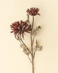 Two deep burgundy faux dahlia stems with rich petals by Faire, perfect for vases or decor at Bungalow Furniture.