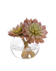 The Succulent Glass Bubble by Natural Decorations Inc. features two pinkish-green succulents in a round clear vase with water, creating a stunning, maintenance-free decor piece.