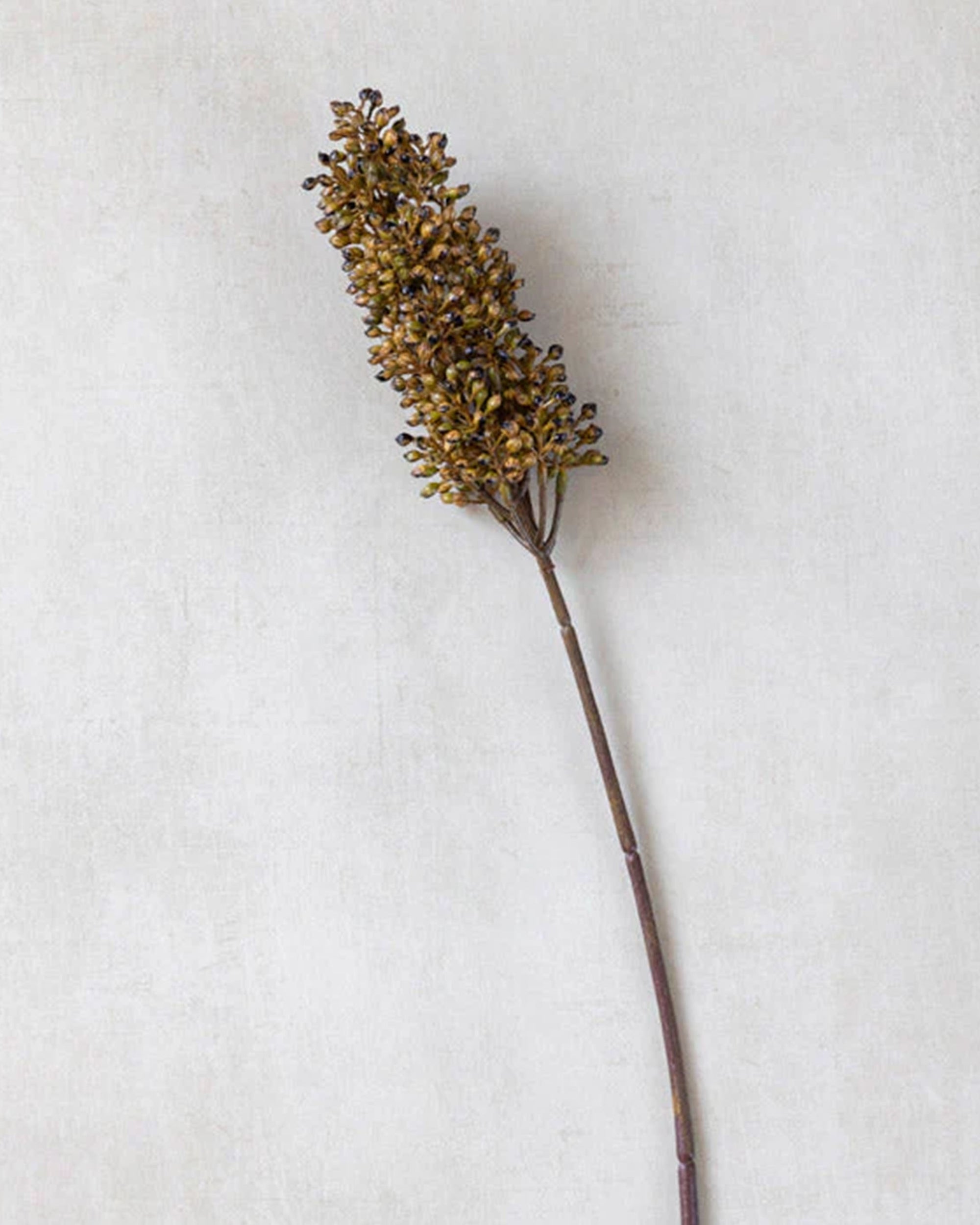 The Abigail Ahern Sorghum Stem Umber features a single artificial stem topped with a cluster of small brown seeds—ideal for botanical arrangements or faux floral stem displays.