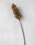 The Abigail Ahern Sorghum Stem Umber features a single artificial stem topped with a cluster of small brown seeds—ideal for botanical arrangements or faux floral stem displays.