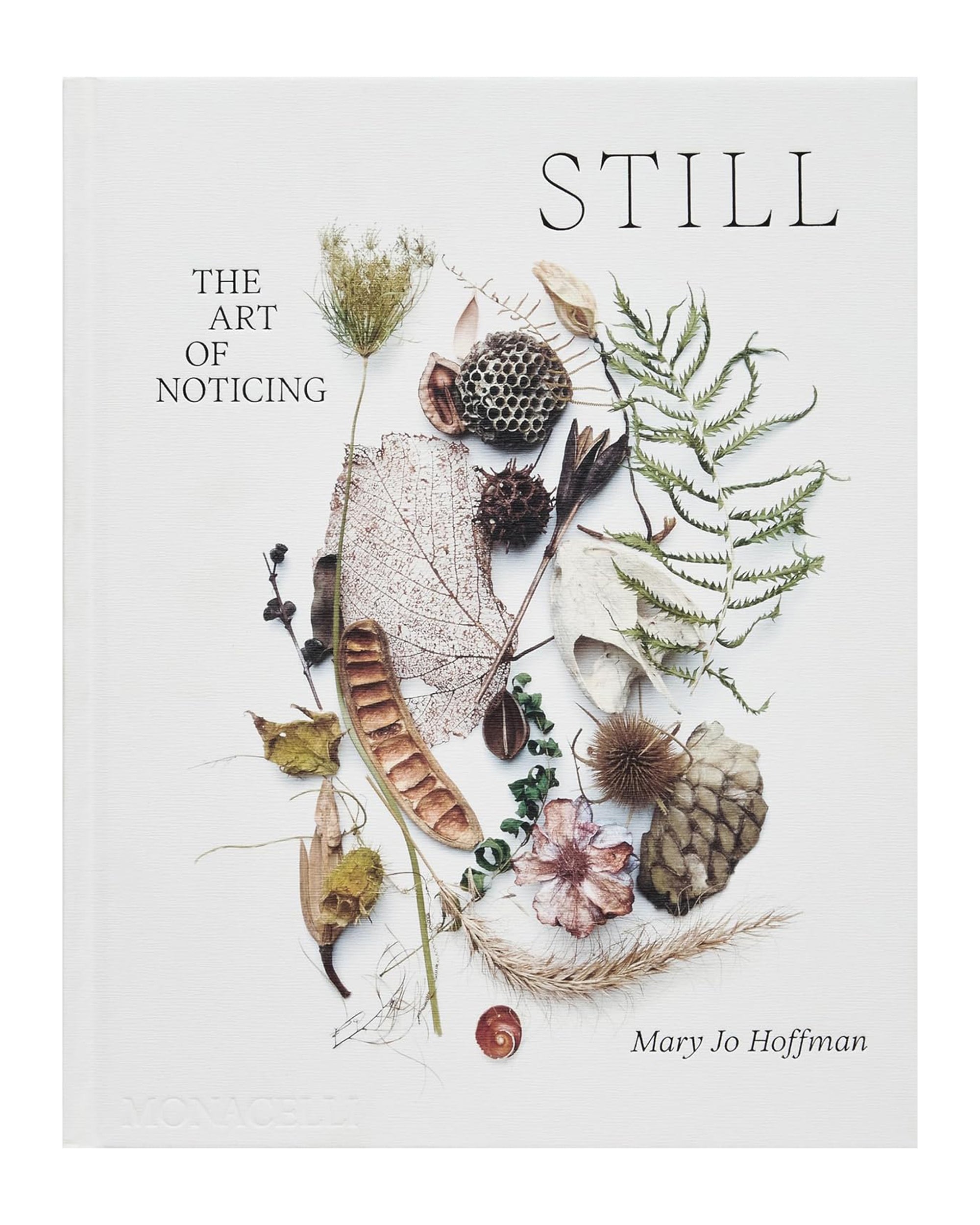 The cover of STILL The Art of Nothing by Hachette Book Group features artfully arranged natural objects—dried leaves, seed pods, and ferns—showcased in stunning nature photography on a white background.