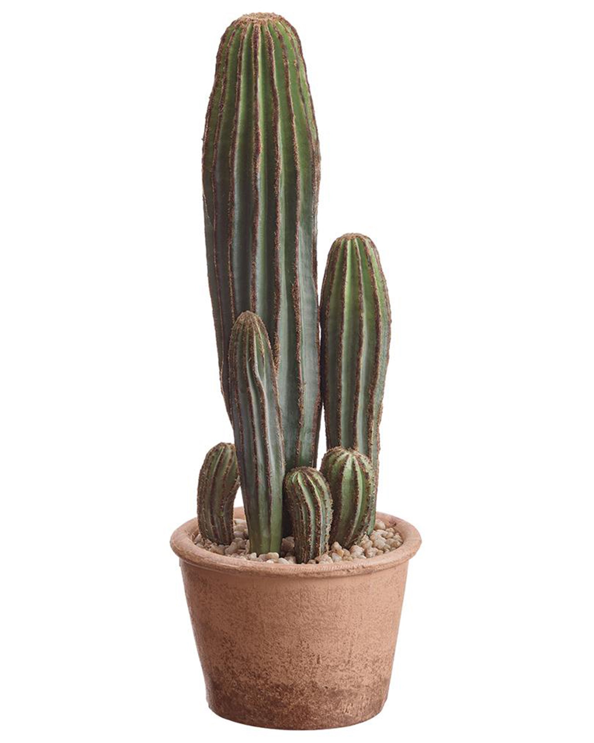 The AllState Floral And Craft COLUMN CACTUS 15.5" features tall green faux stems in a terra-cotta pot with pebbles, ideal for desert-inspired décor and shown isolated on a white background.