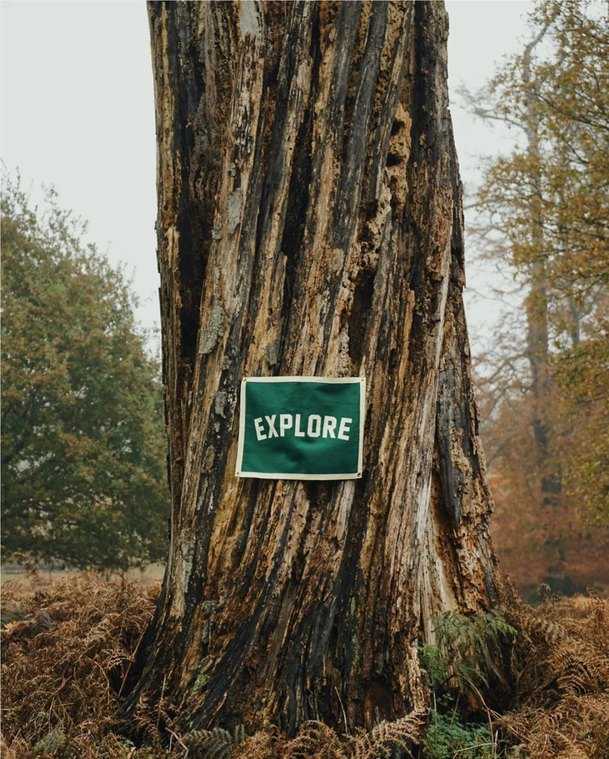 A large tree trunk stands in the forest, displaying the green 18x24 "Explore Camp Flag" from Oxford Pennant. Ferns and autumn leaves surround the base, creating an inviting scene that inspires adventure.