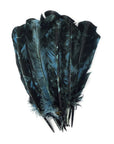 The Faire Turkey Quill Ocean Blue and Black features glossy, fan-shaped feathers with iridescent blue-green highlights, beautifully displayed against a white background.