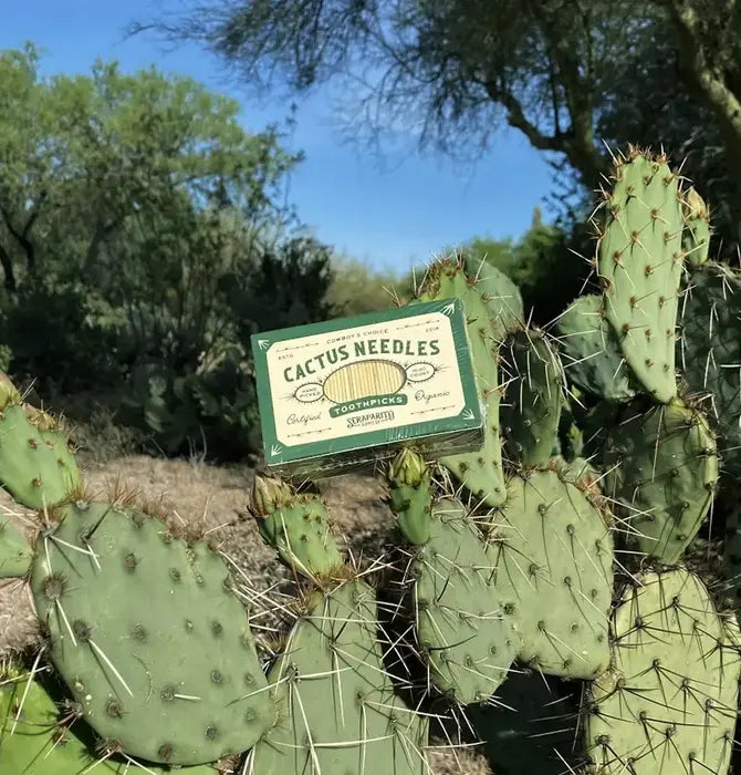 A rectangular sign reading "Cactus Needle Toothpicks" by Faire is attached to a green prickly pear cactus with sharp spines outdoors—ideal for wild west party decor or as a quirky Southwest souvenir.