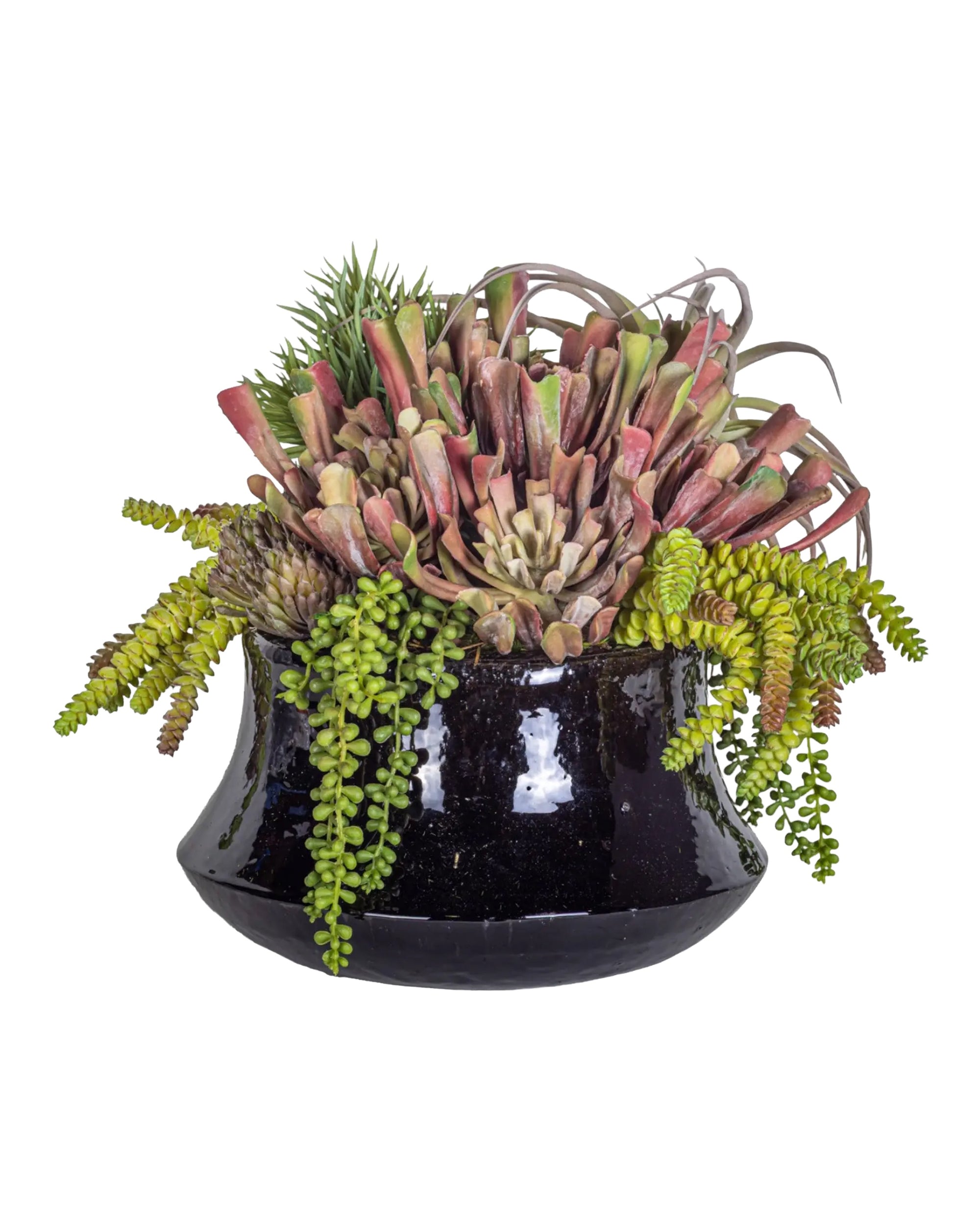 The Faire Tulip Planter, a glossy black ceramic pot, showcases a dense mix of succulent plants with green trailing strings and spiky red-tipped accents, creating a textured display against a white background.