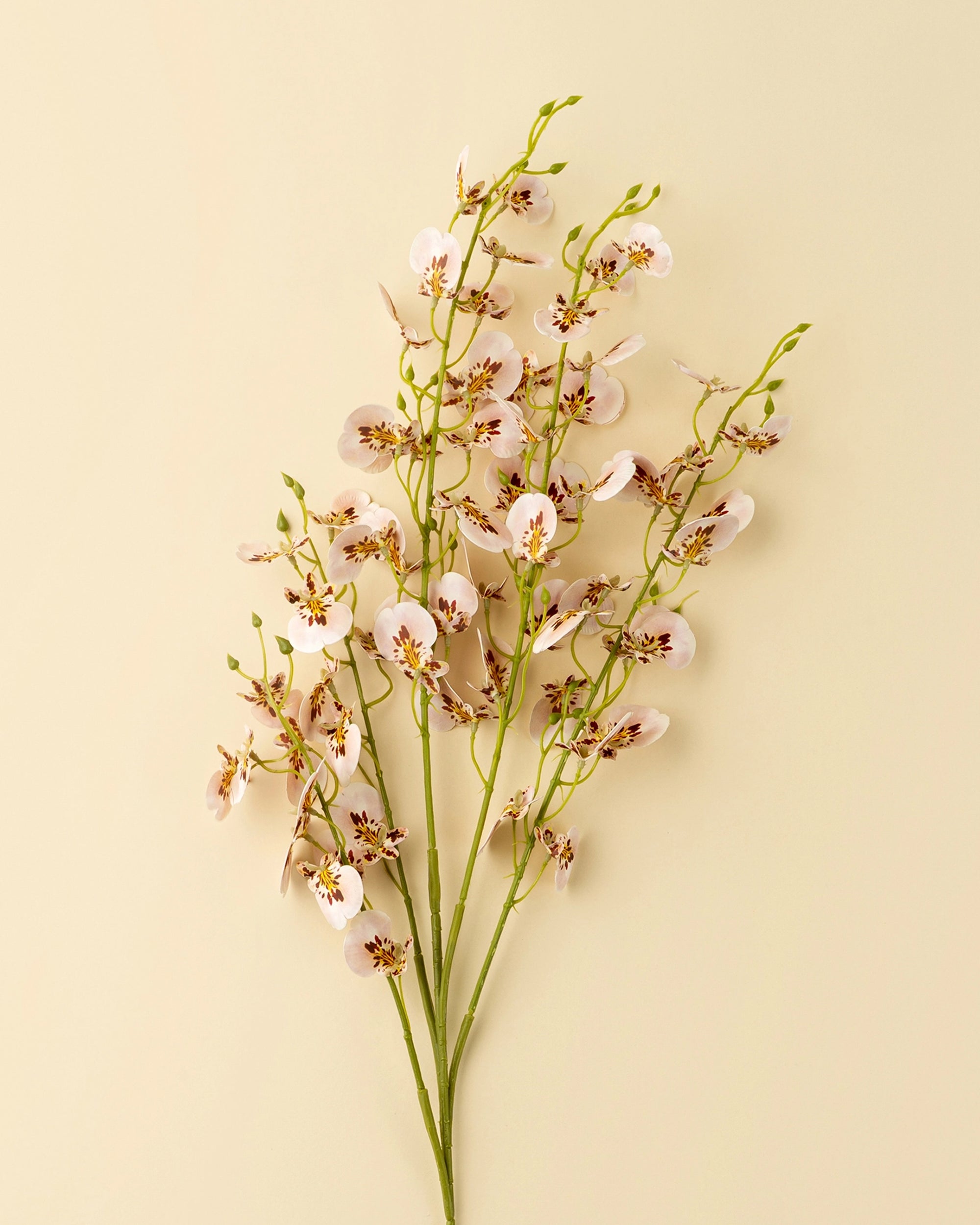 The Faire Wild Orchid Spray features three long green stems with delicate pale pink faux flowers and green buds, elegantly arranged against a beige background—ideal for elevating your home decor.