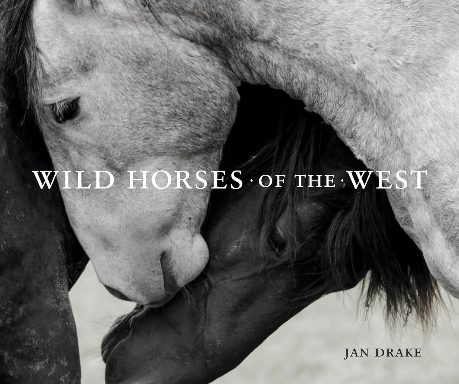 Close-up monochrome photograph of two wild horses nuzzling each other in Arizona, with the book title &quot;Wild Horses&quot; by National Book Network displayed in elegant typography.