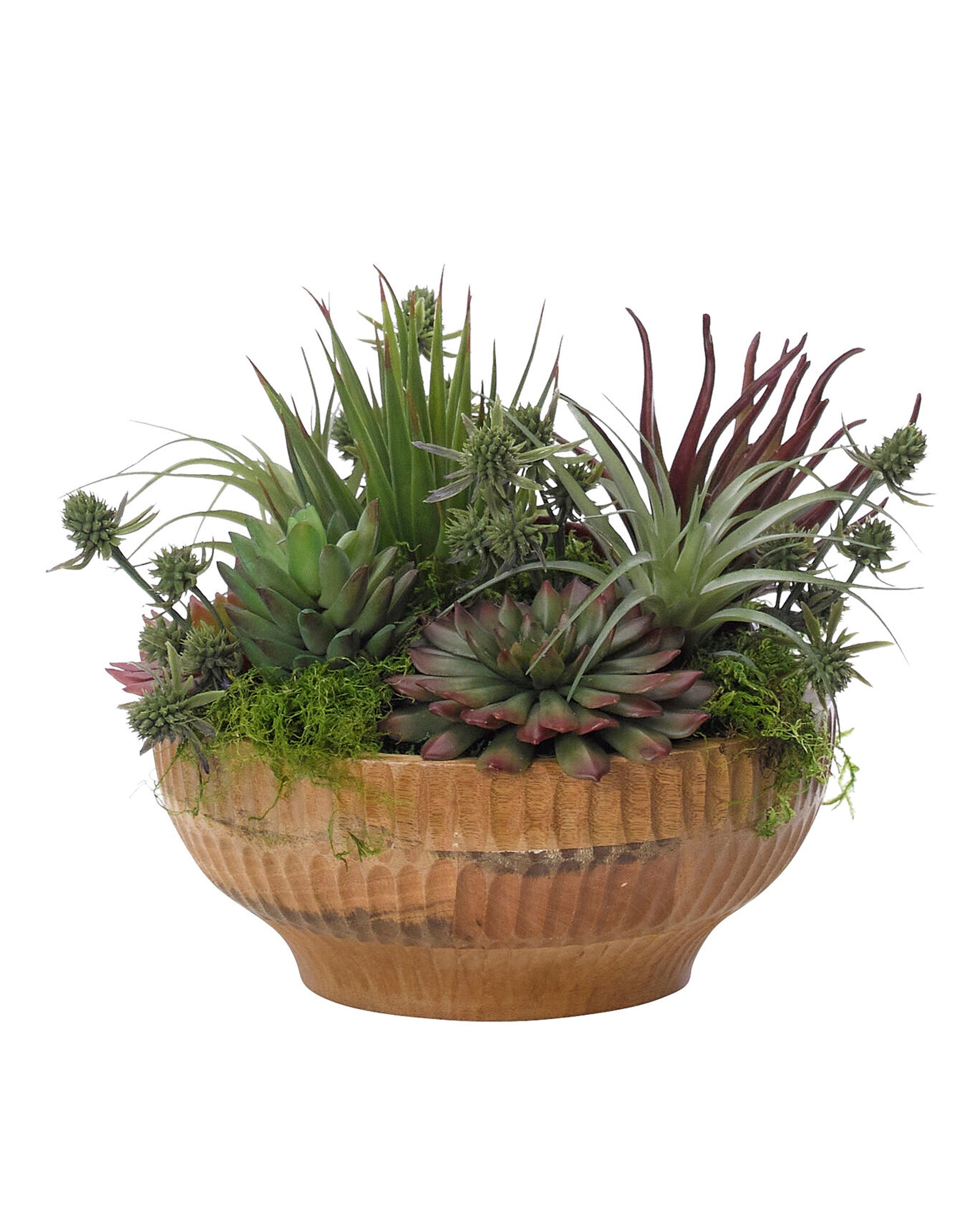 The Succulent Wood Bowl by Natural Decorations Inc. features maintenance-free green and purple succulents and moss, artfully arranged in a wood bowl for a lush, decorative display.