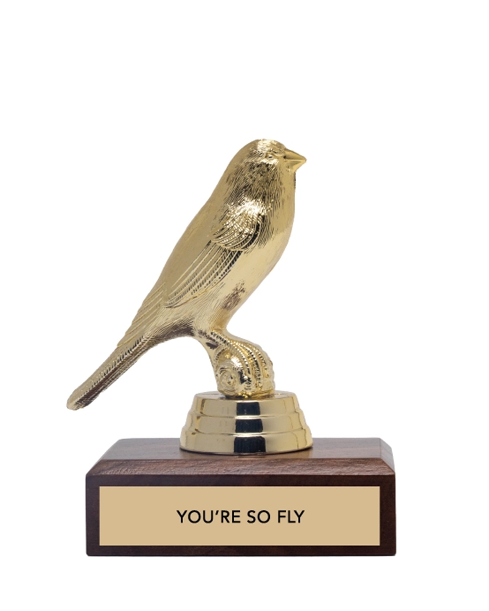 The JE Trophy by Faire features a golden bird on a wooden base with a plaque that says "YOU'RE SO FLY," making it an ideal gift for adults in Winston Salem, North Carolina.