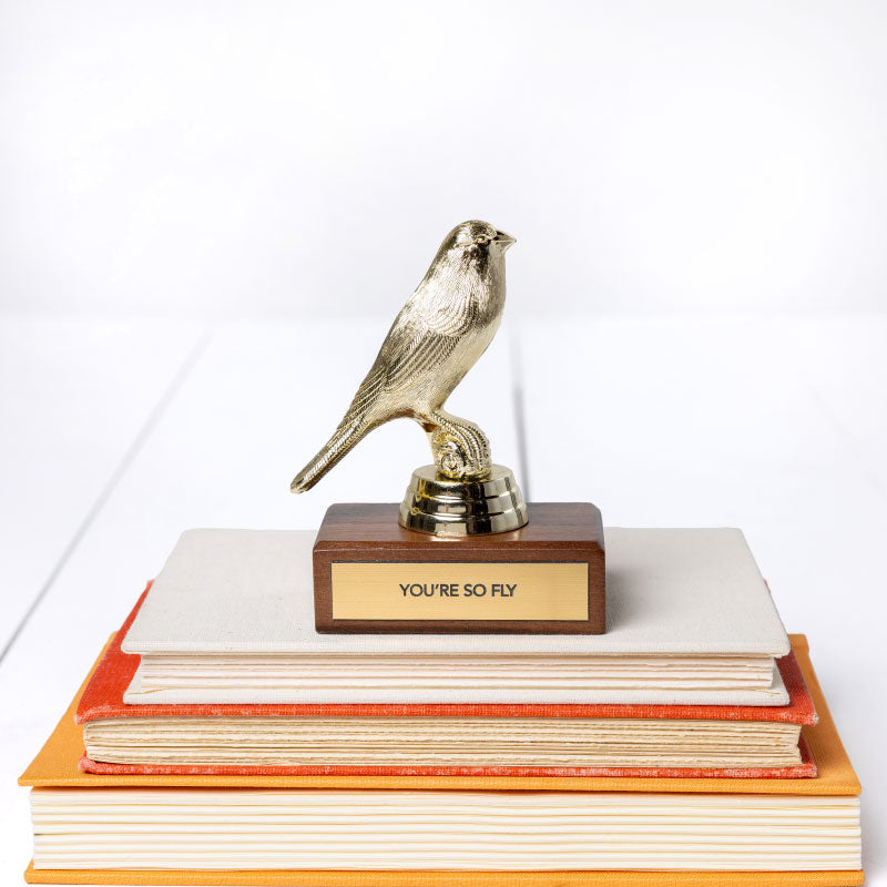A JE Trophy on a base with the inscription &quot;YOU&#39;RE SO FLY,&quot; placed atop a stack of colorful hardcover books against a white background, adds unique style to any decor.